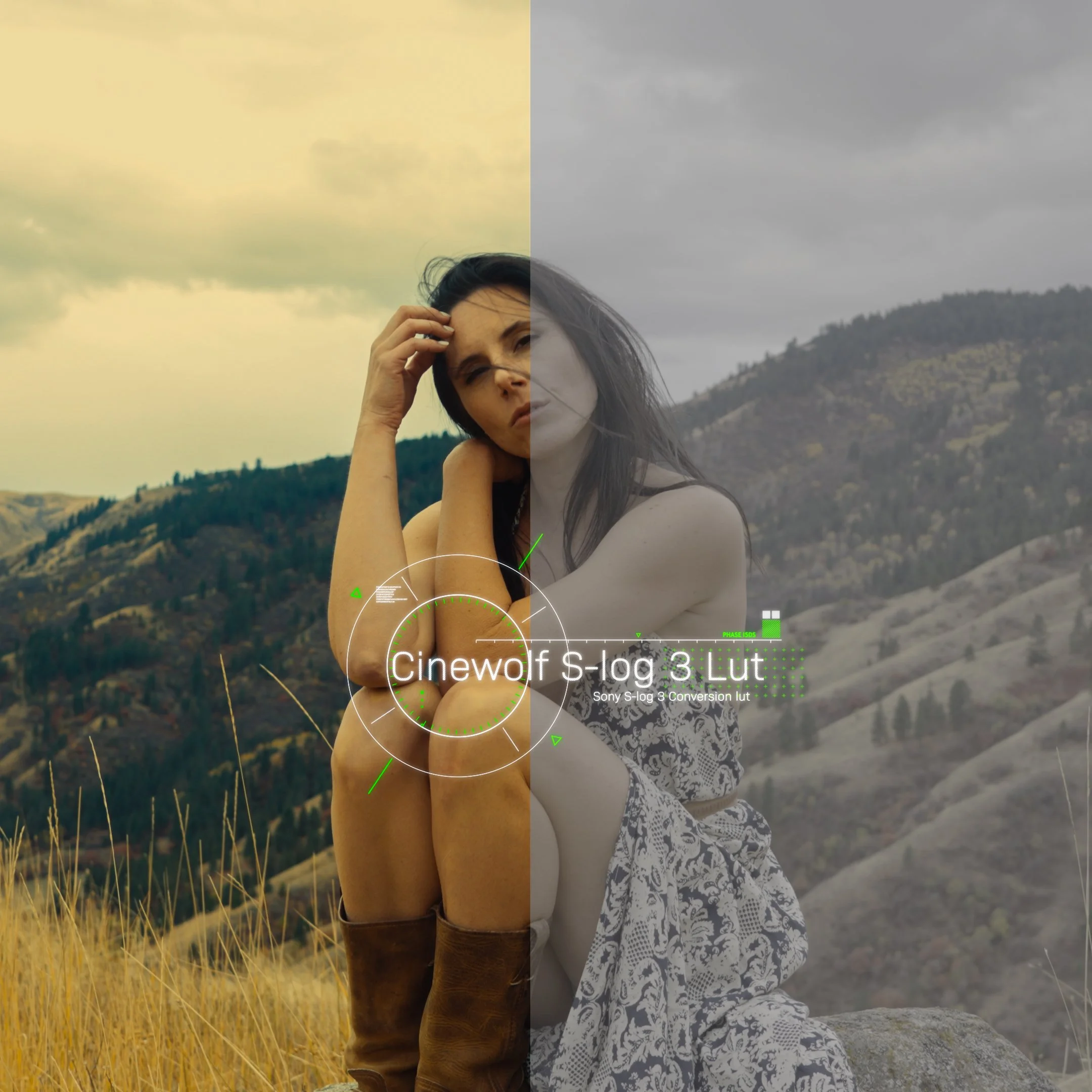 lut conversions.00_00_13_05.Still005.jpg