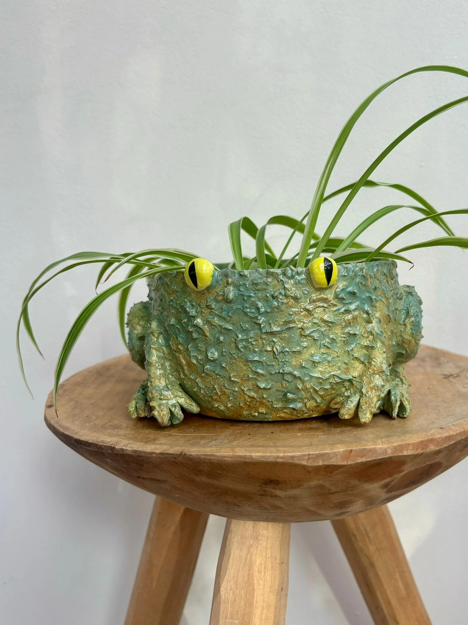 TEXTURED CERAMIC FROG PLANTER