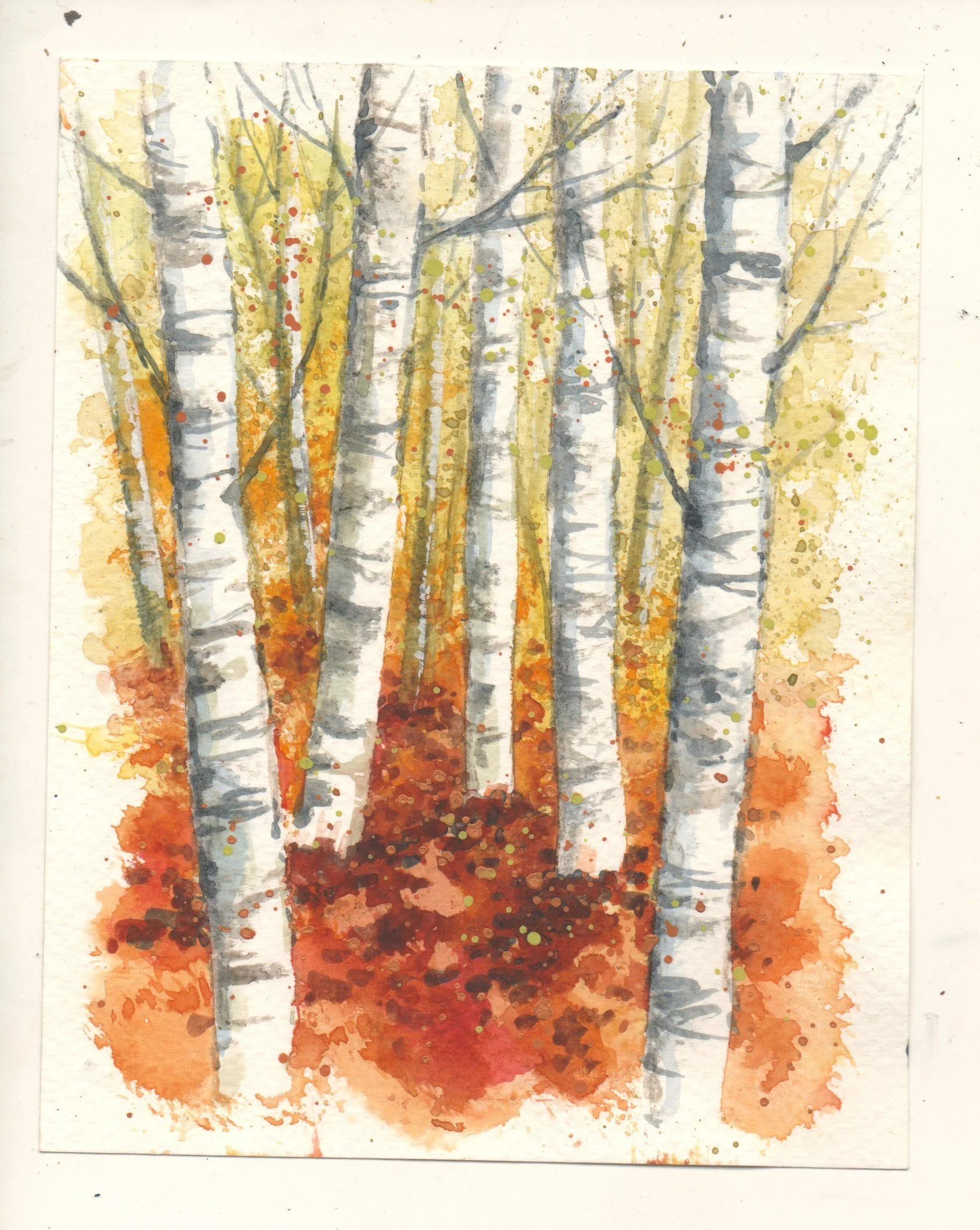 Scan_20260529.jpg