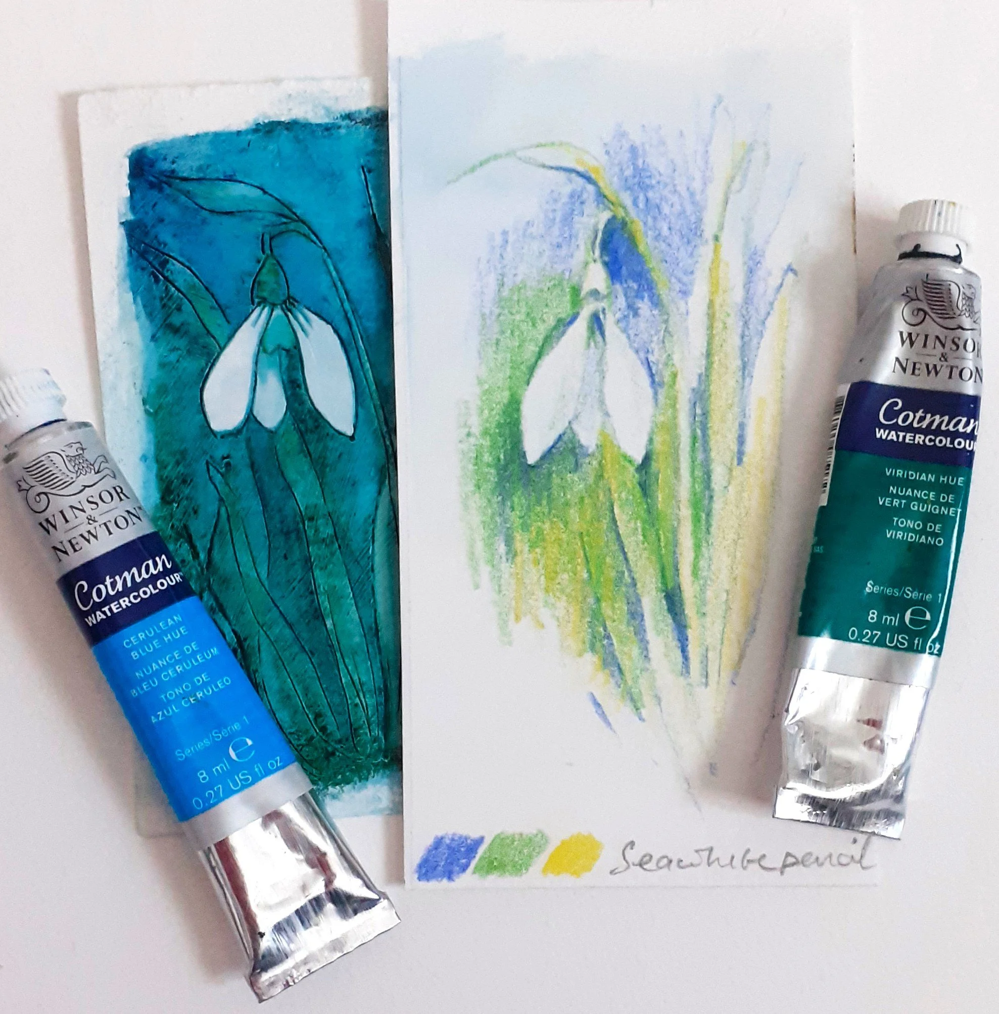 snowdrops.jpg