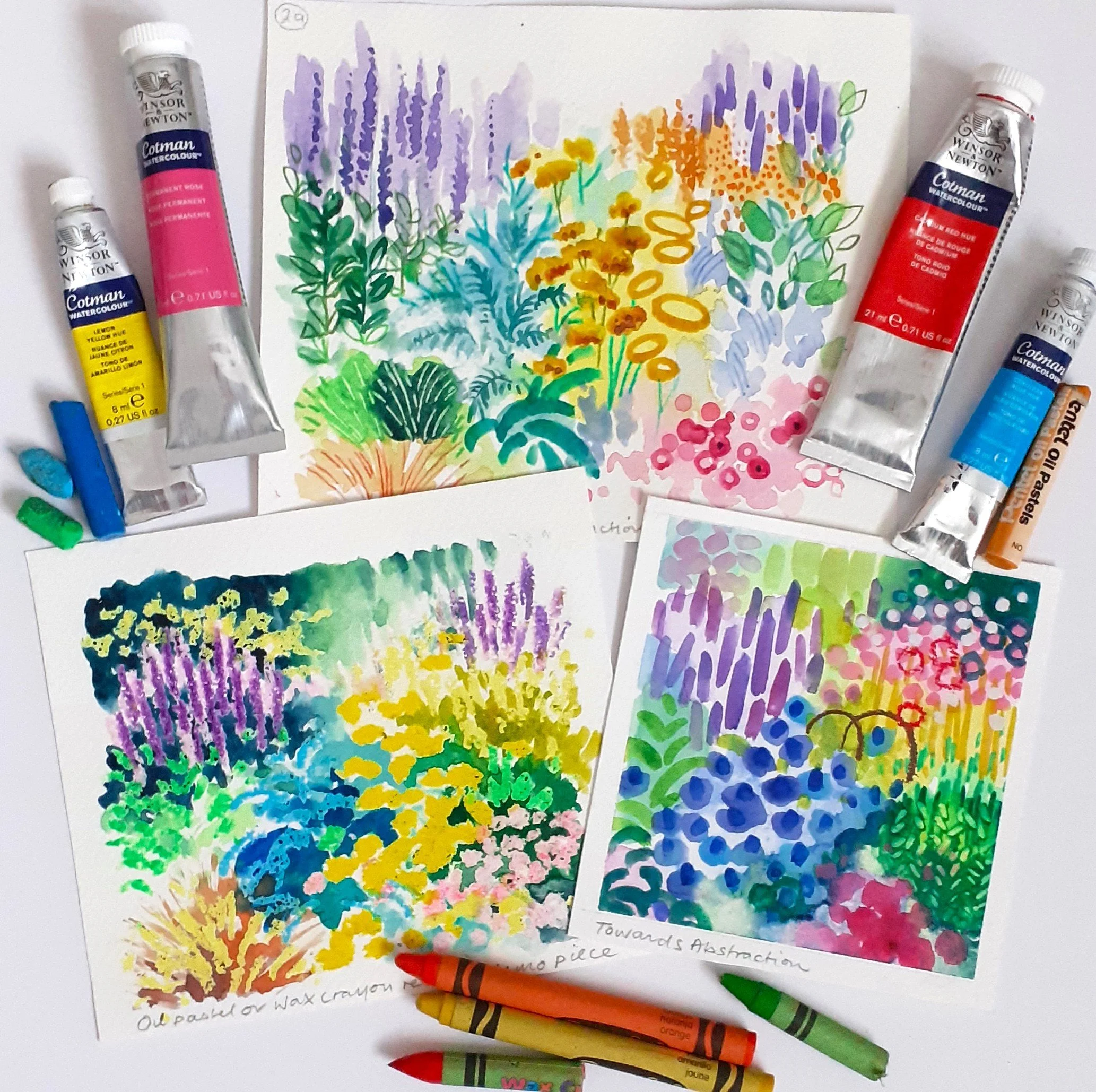 A YEAR IN THE GARDEN: JULY - IN FULL BLOOM