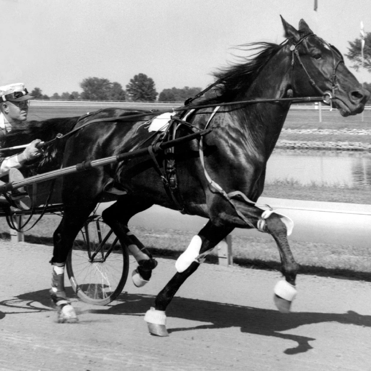 57HickorySmoke2.jpg