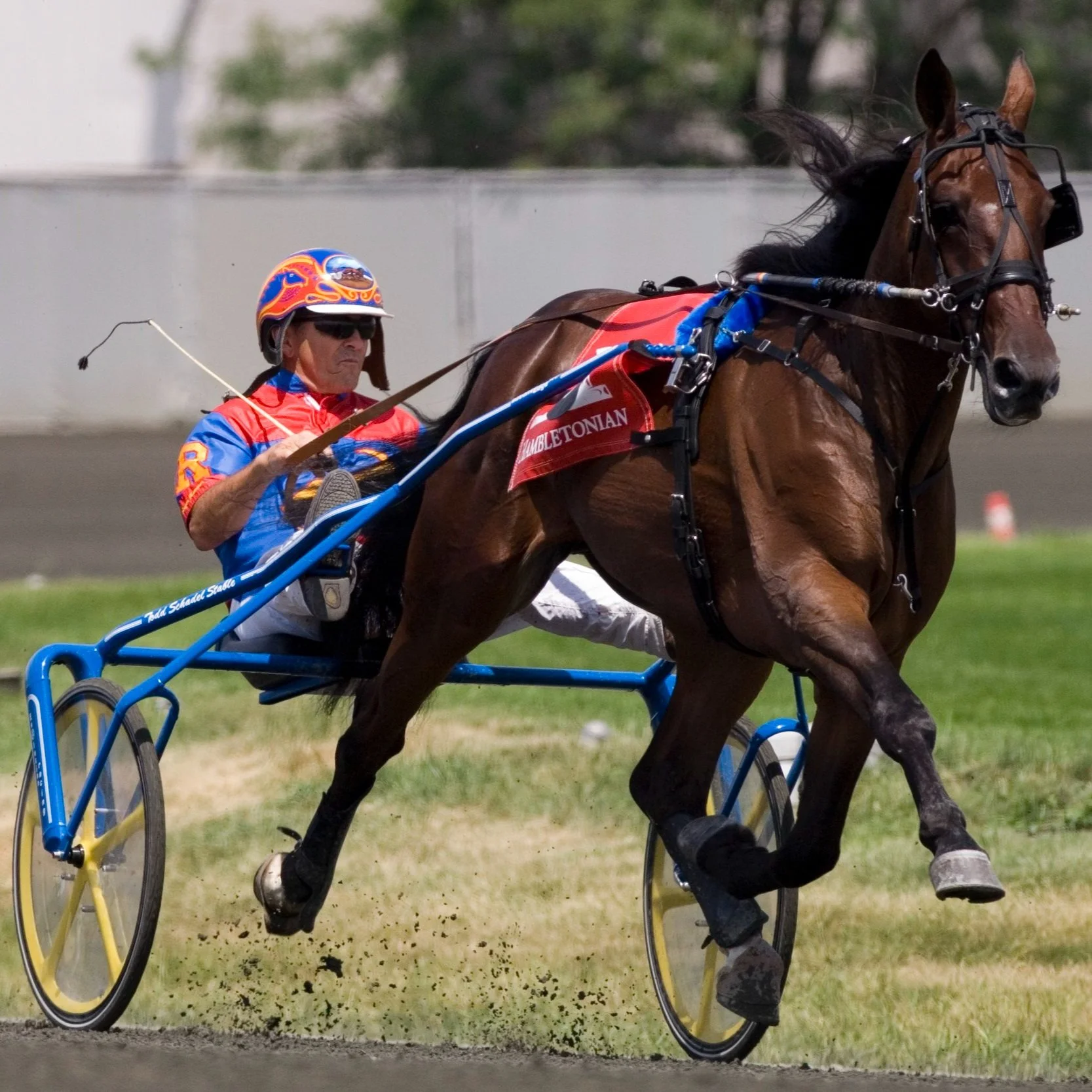 05 Hambo Vivid warmup 2.jpg