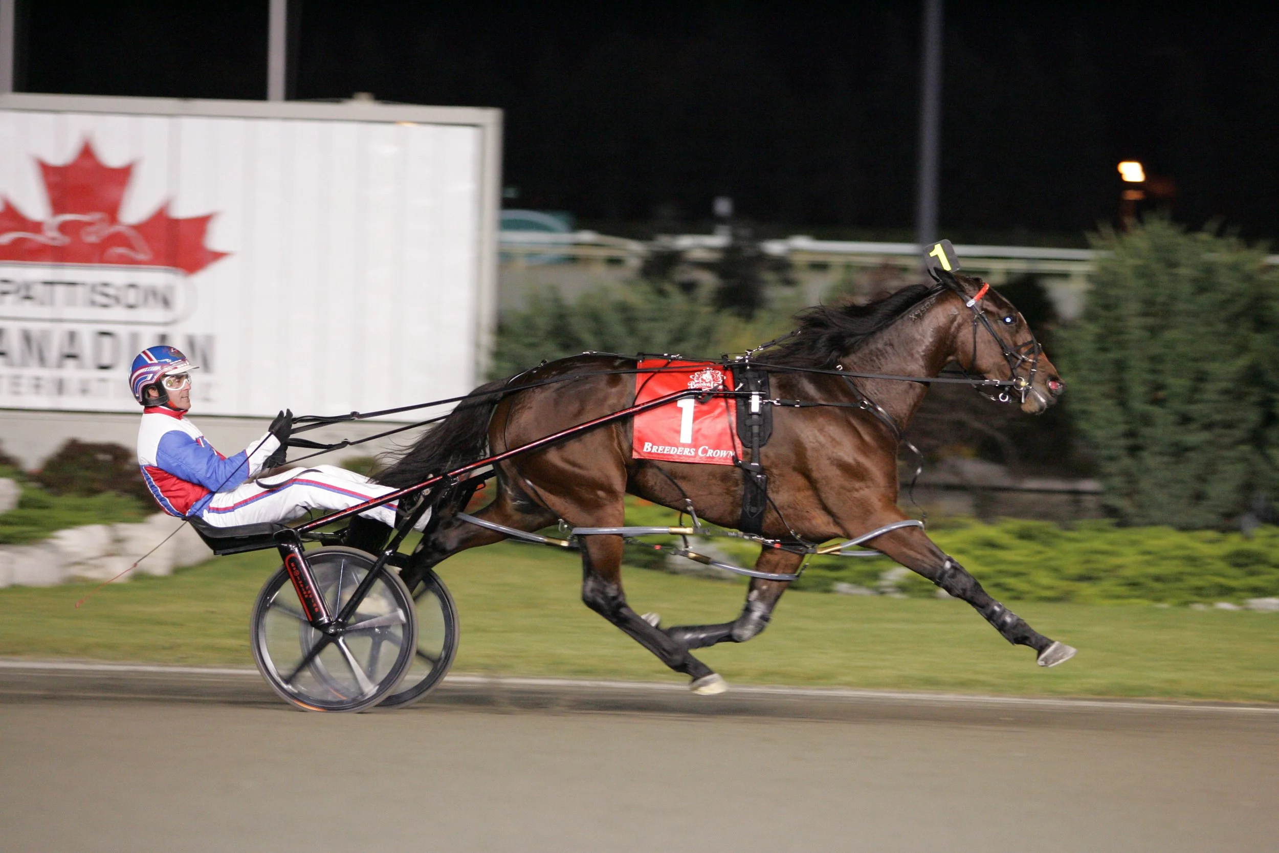 03 Rainbow Blue rc3.JPG