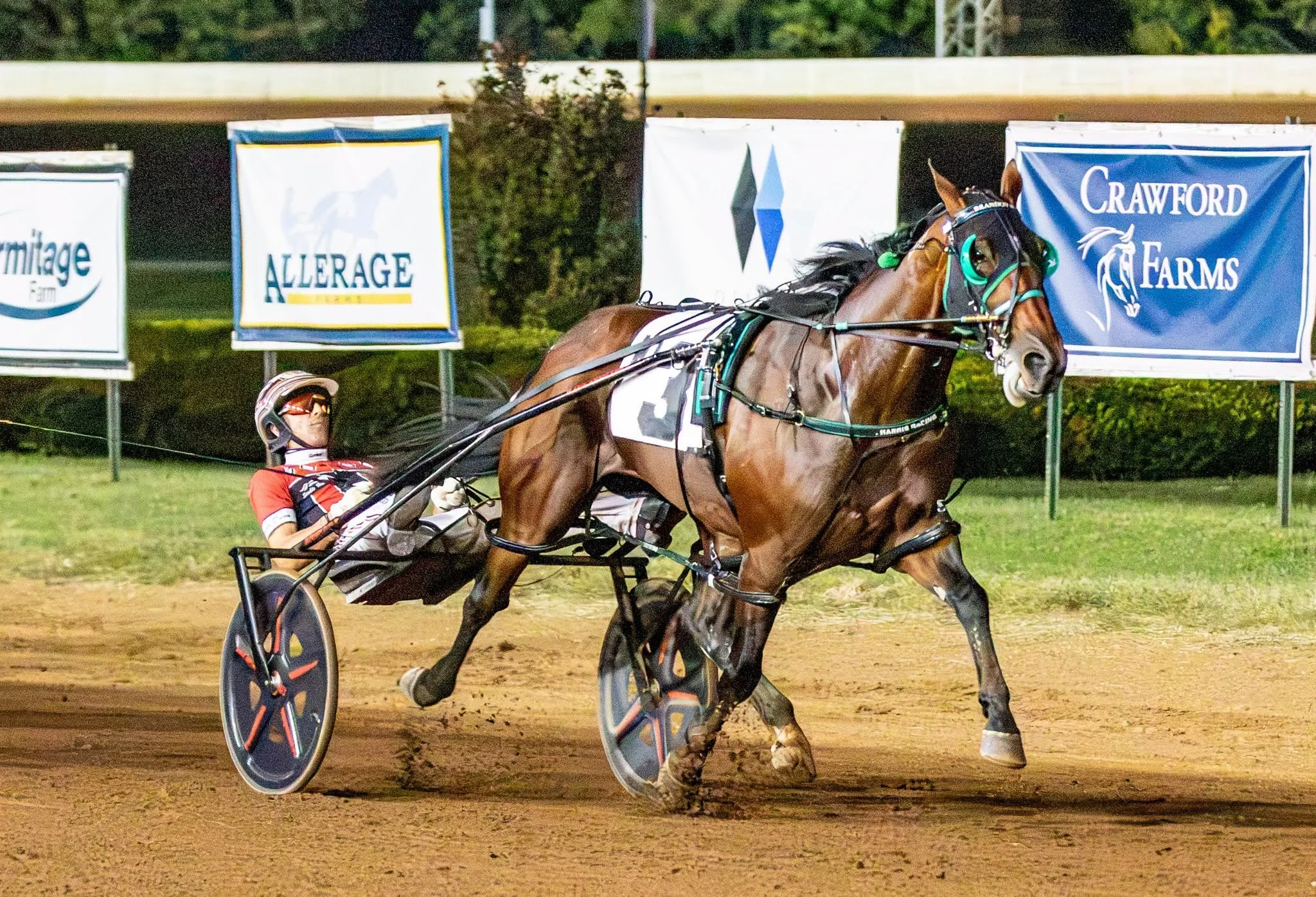 Brandon Blvd | Kentucky Championship