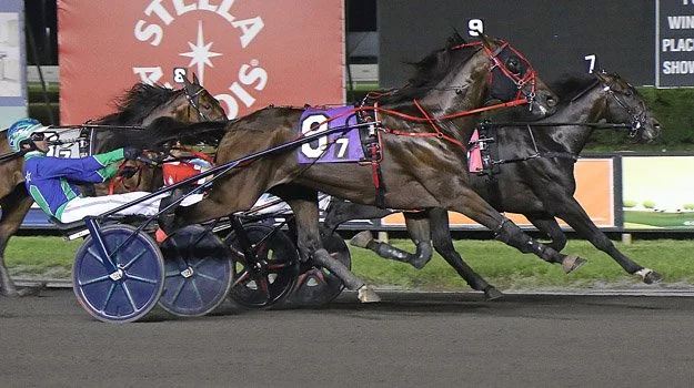 Apex | Hambletonian Elim