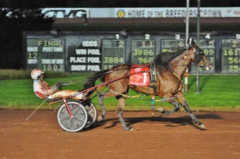 dorsoduro-hanover-final.jpg
