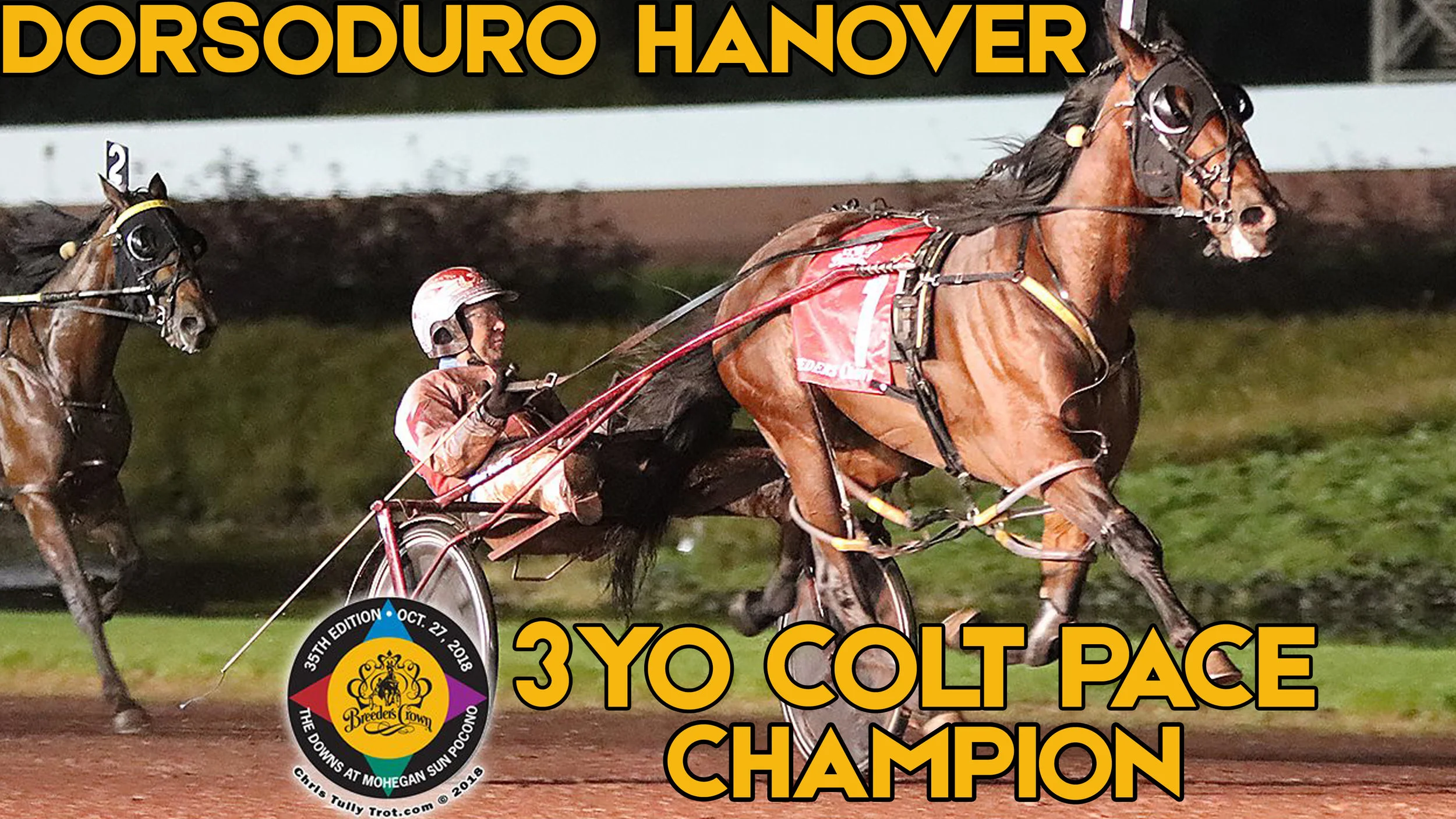  Dorsoduro Hanover Tons The Best In Winning Breeders Crown Three-Year-Old Colt Pace Final