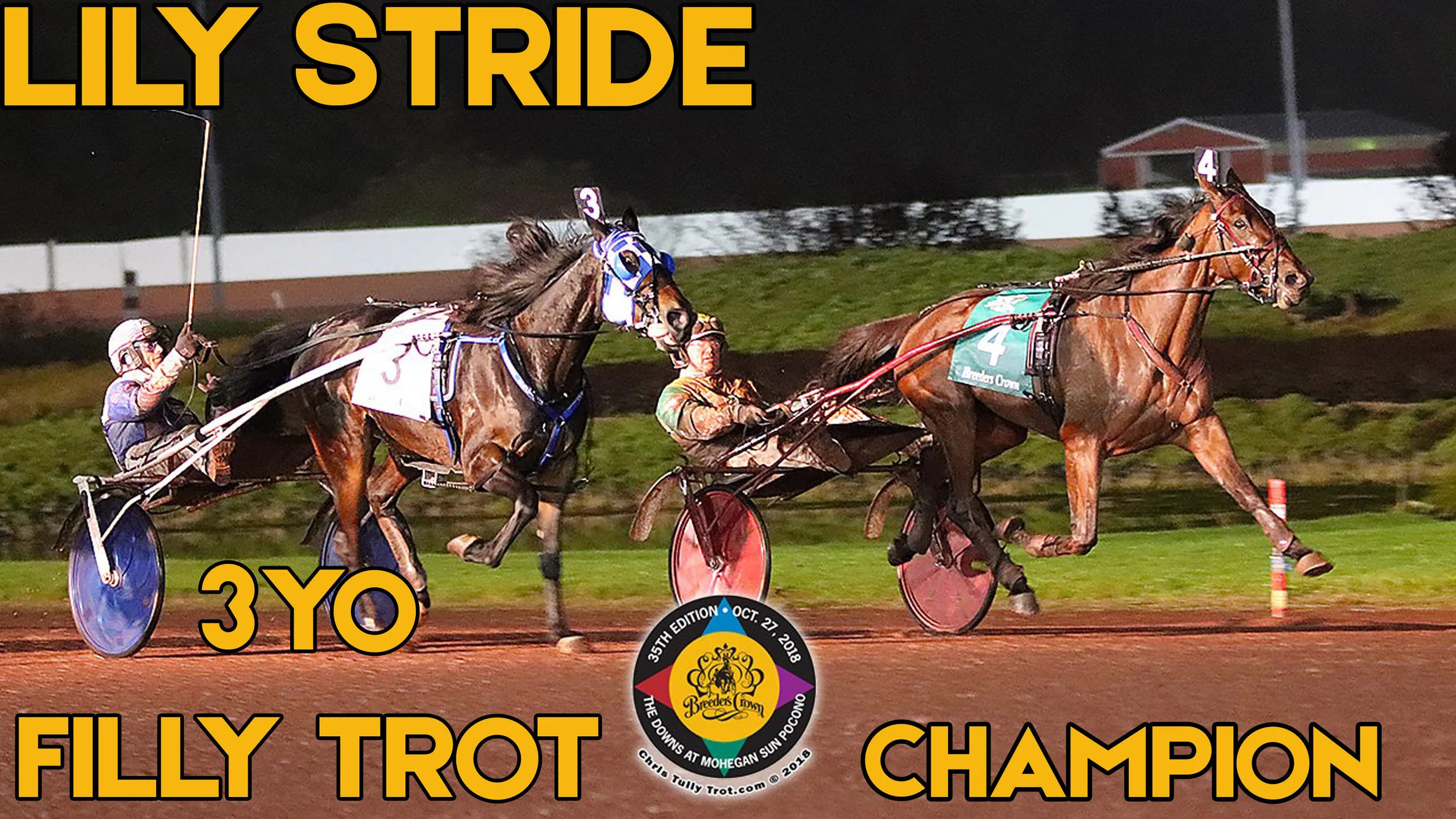  $500,000 Breeders Crown Three-Year-Old Filly Trot To Lily Stride