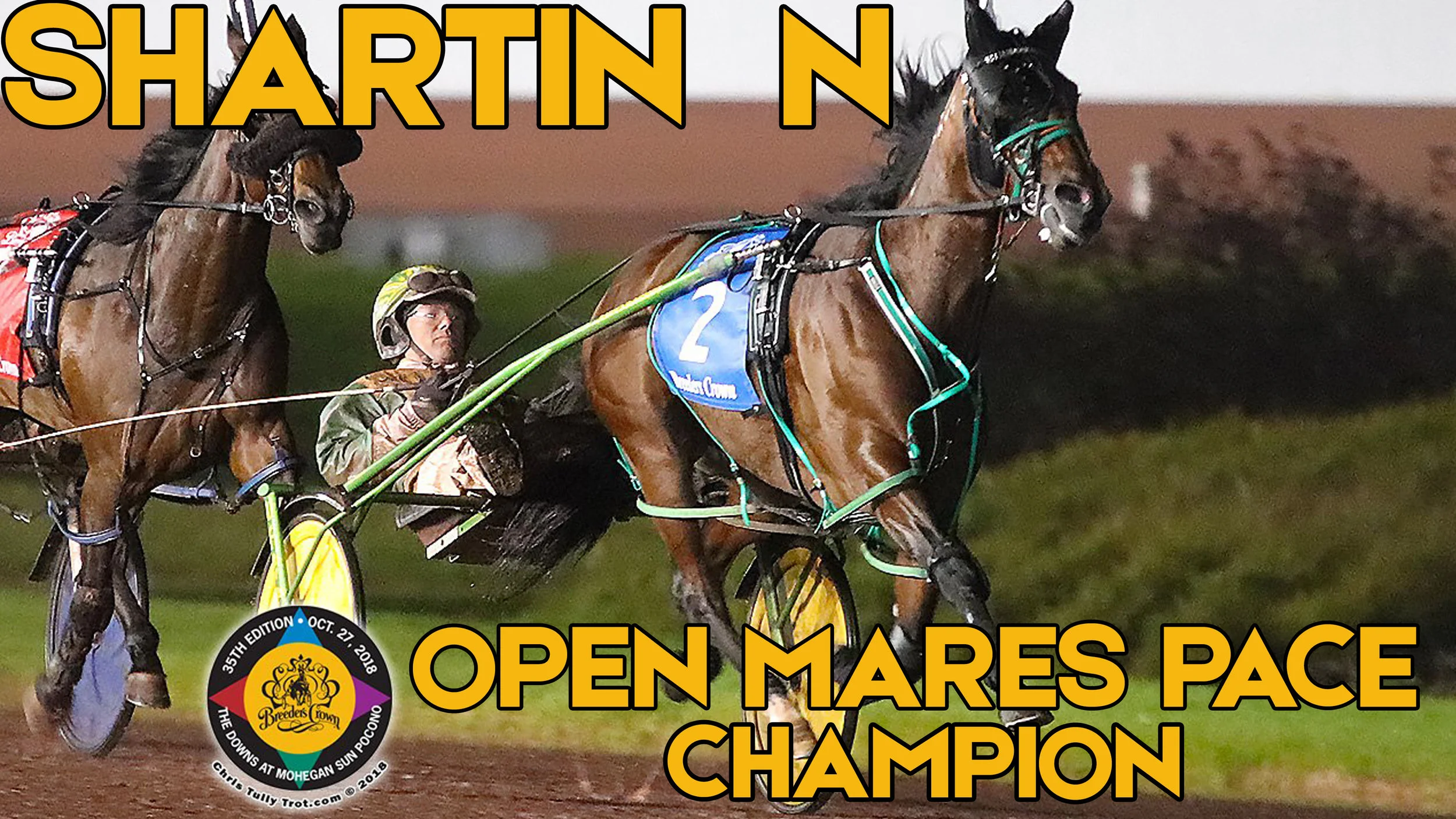  Shartin N Stays Division’s Best, Wins Breeders Crown Mare Pace Final