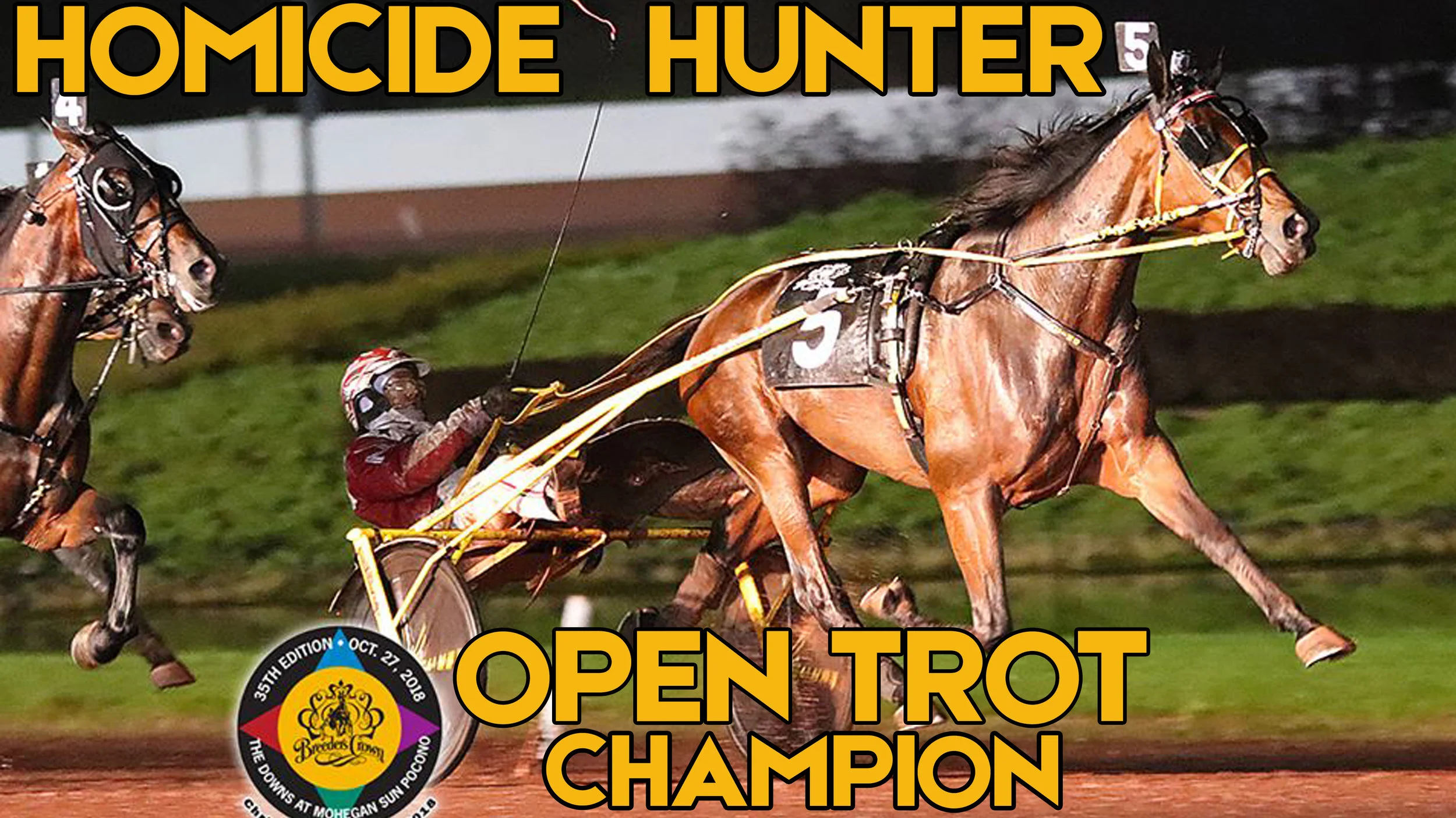  Homicide Hunter Gives Napolitano A Night To Remember