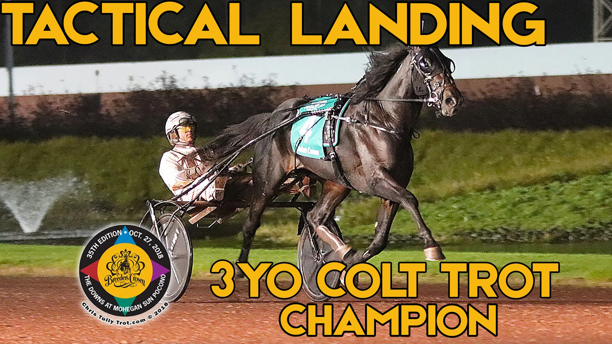  $500,000 Breeders Crown Three-Year-Old Trot To Tactical Landing