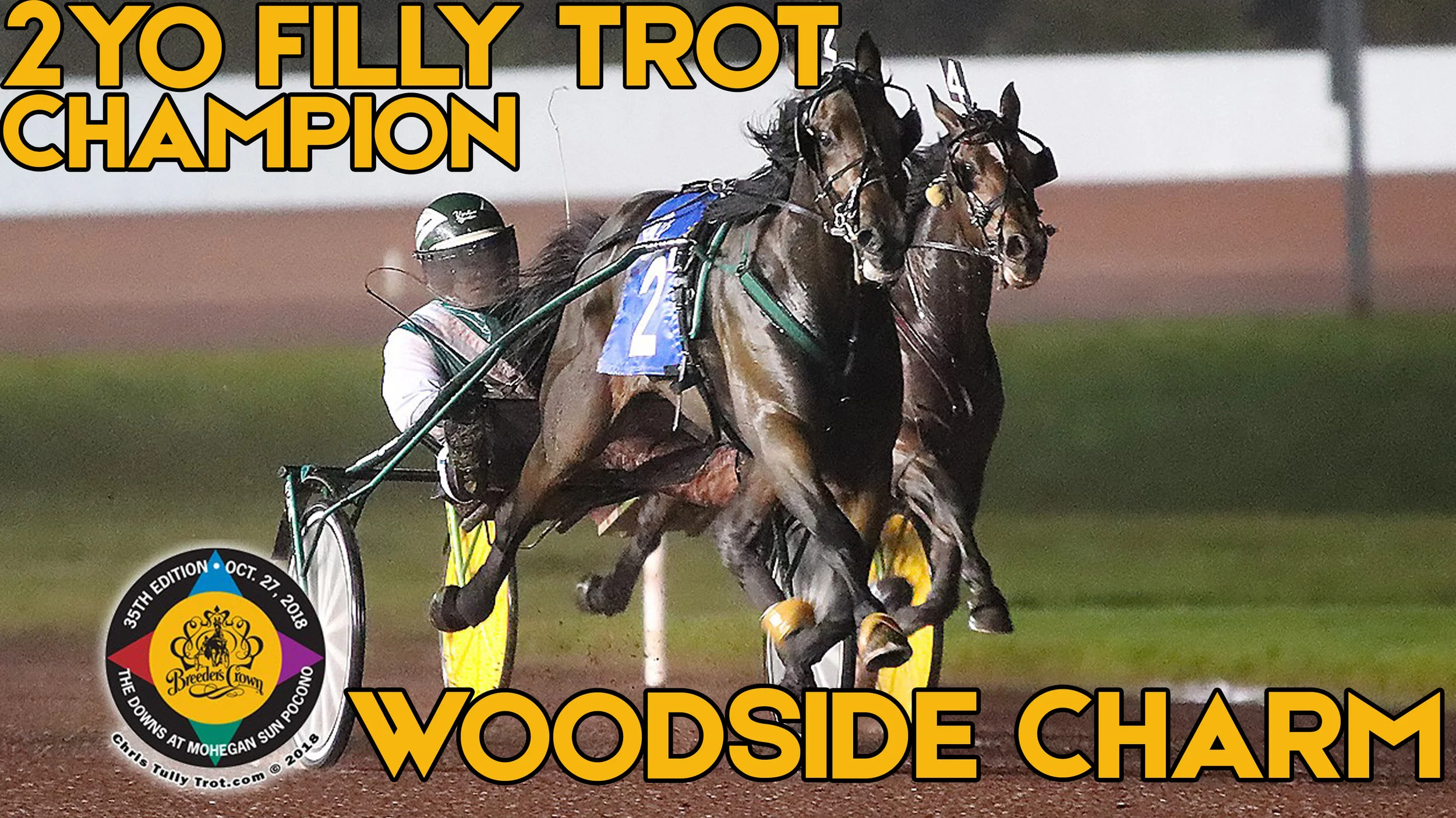  Woodside Charm Is Breeders Crown Freshman-Trot Champion