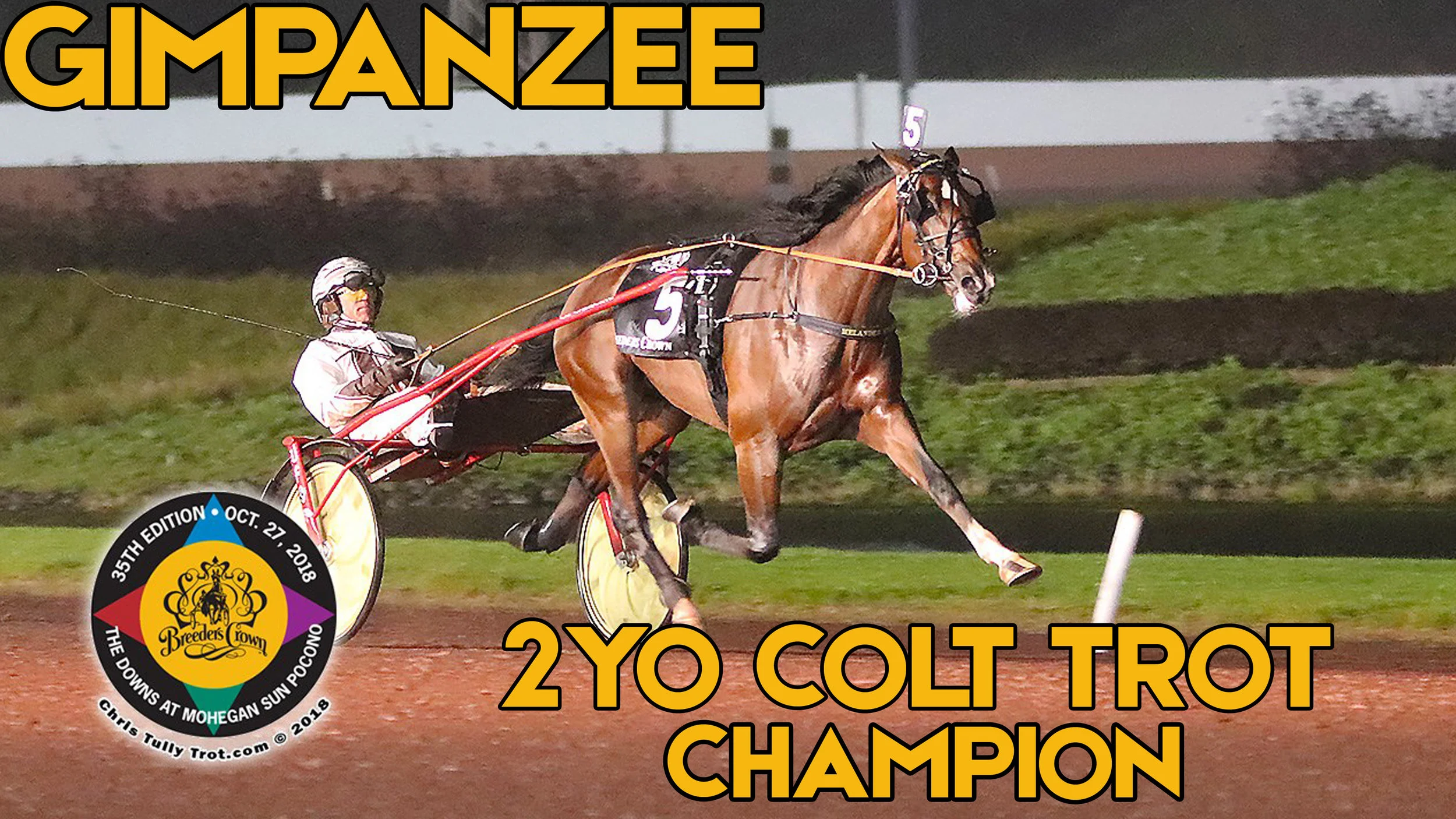  Gimpanzee Remains Undefeated in $600,000 Two-Year-Old Breeders Crown Colt Trot