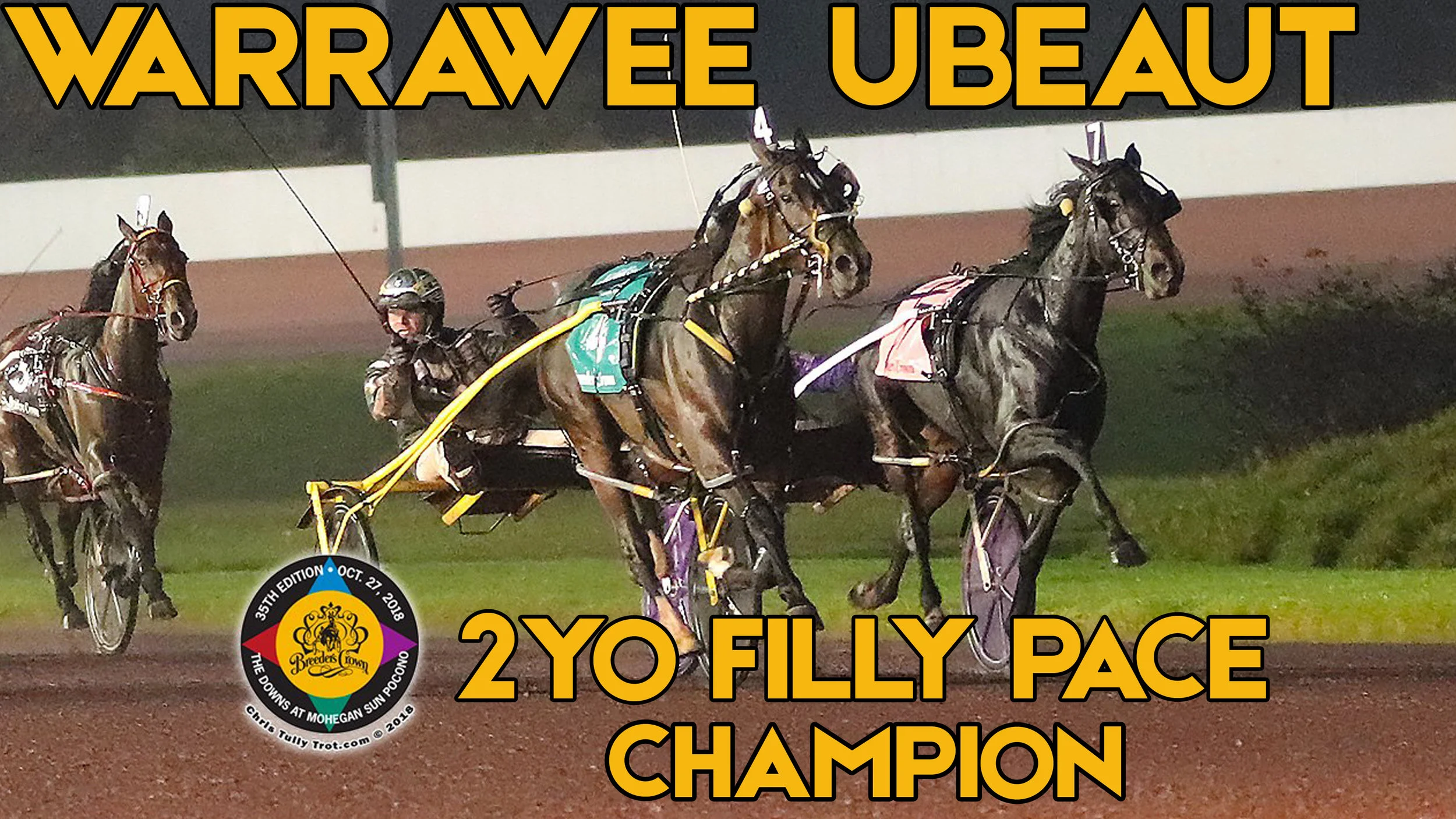  Warrawee Ubeaut Holds On To Capture Freshman Filly Pace Crown