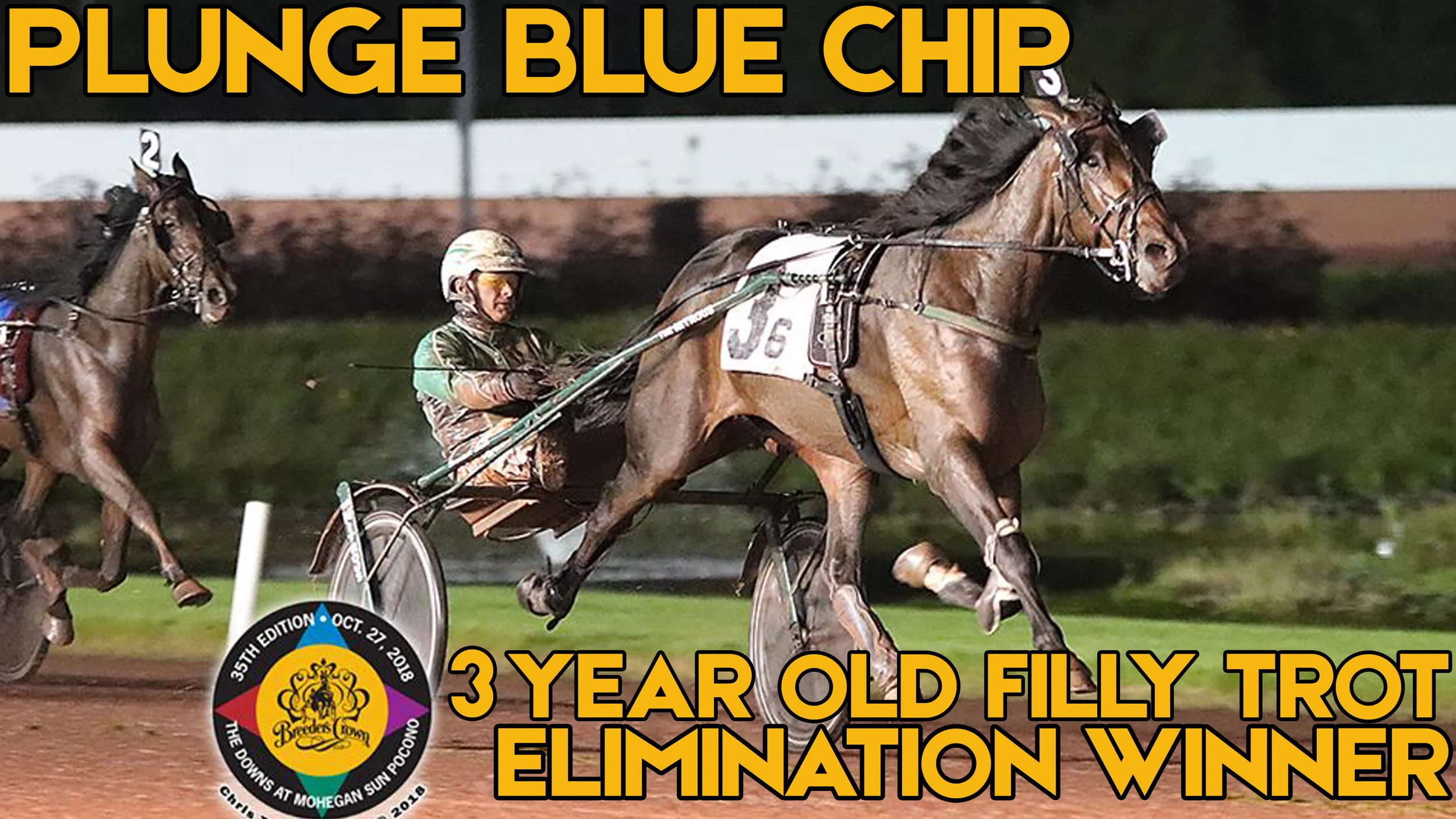  Svanstedt Has High Hopes for Plunge Blue Chip, Six Pack in Crown