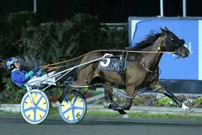  Daley Set To Return Home, But First The Breeders Crown