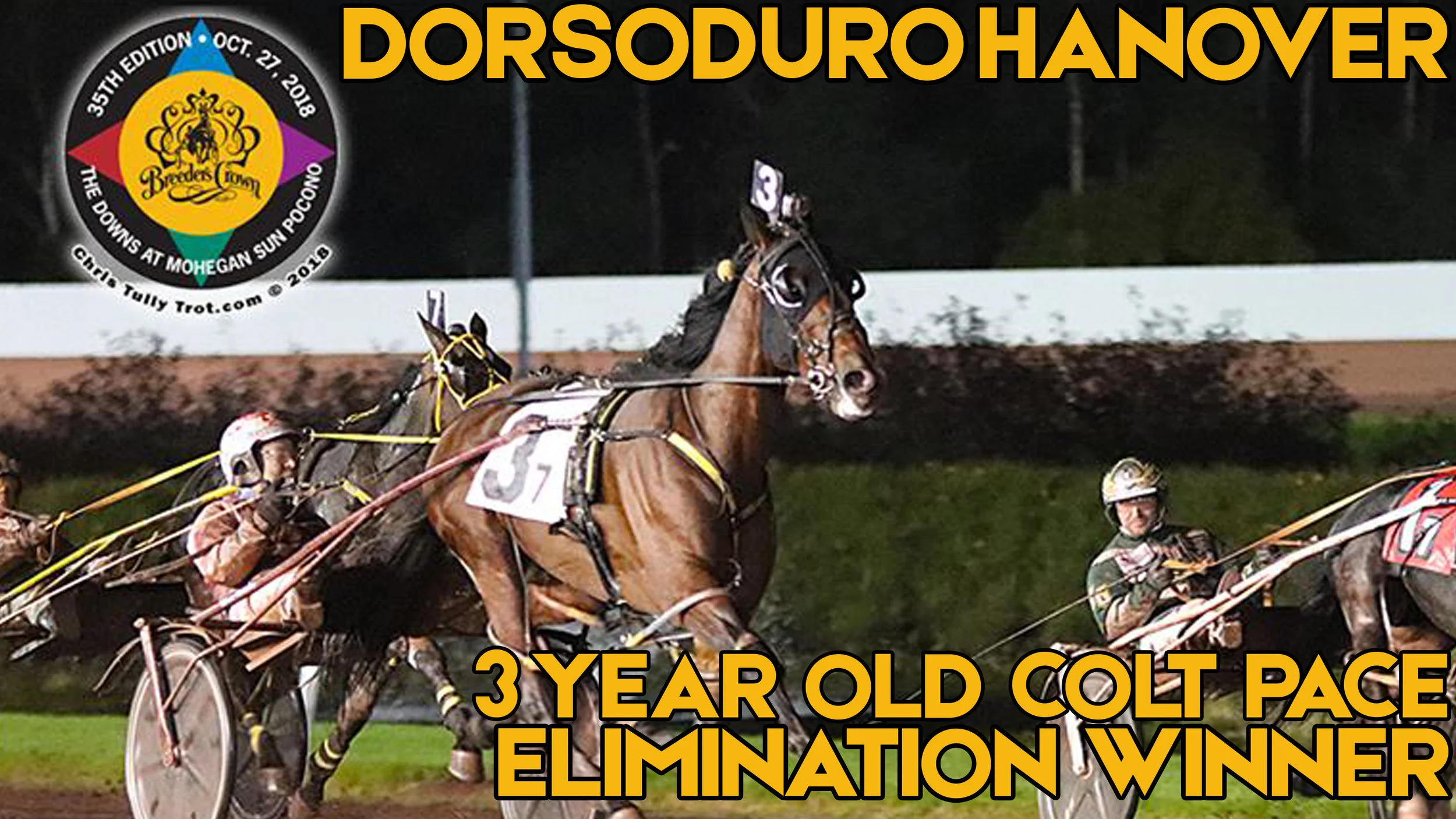  Kakaley and Dorsoduro Hanover aim for Crown
