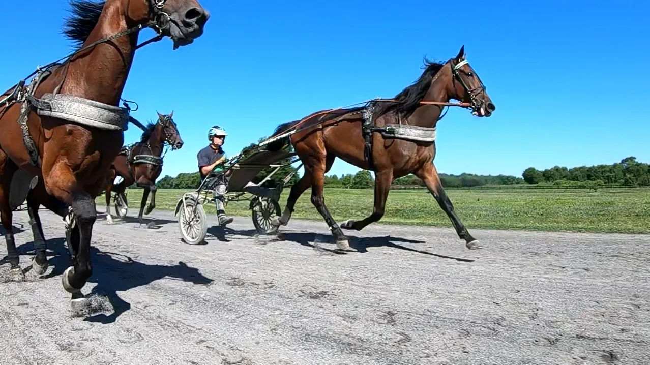  Jimmy Takter Talks Breeders Crown and His Career