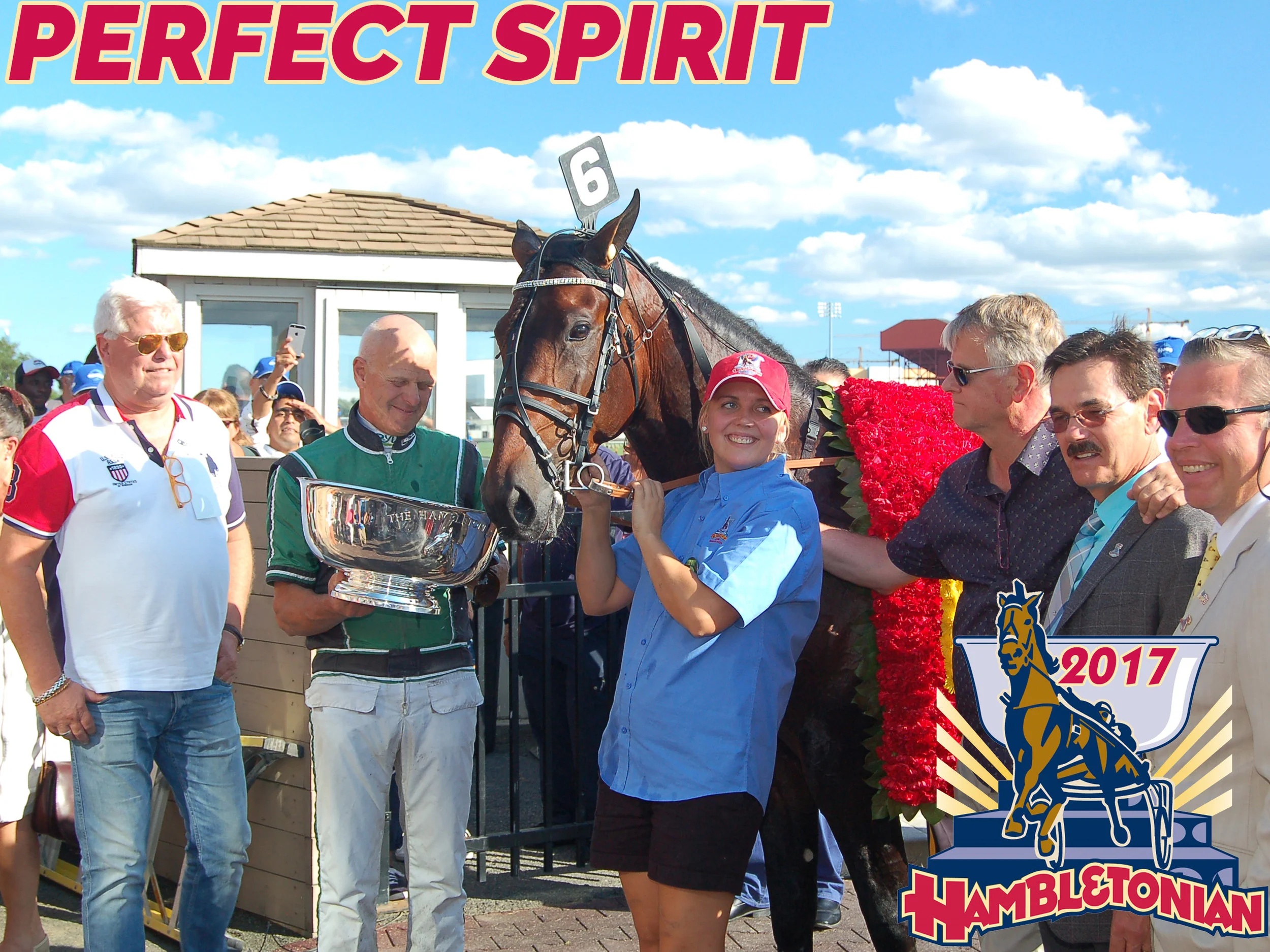 Perfect Spirit - 2017