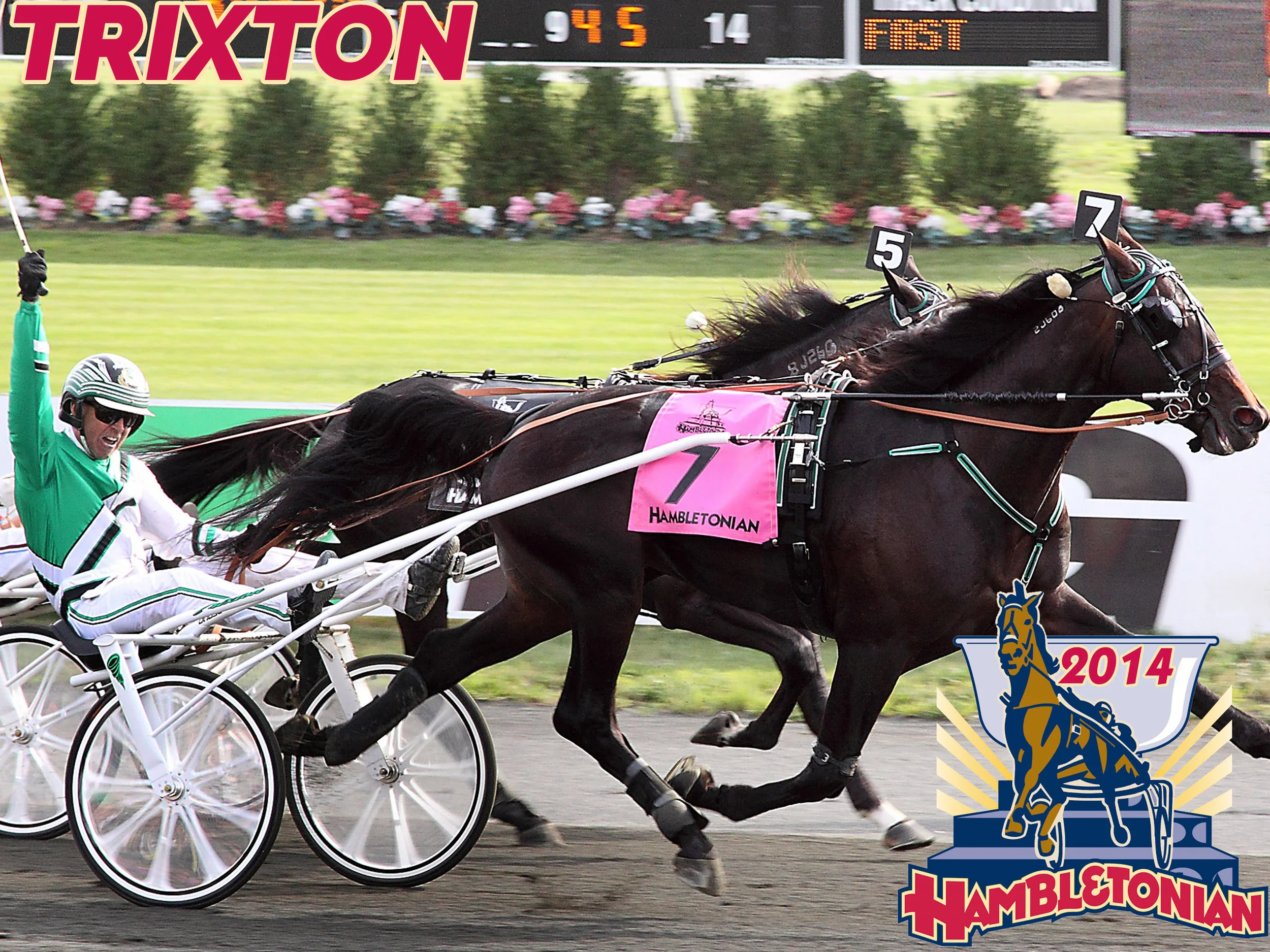 Trixton  - 2014