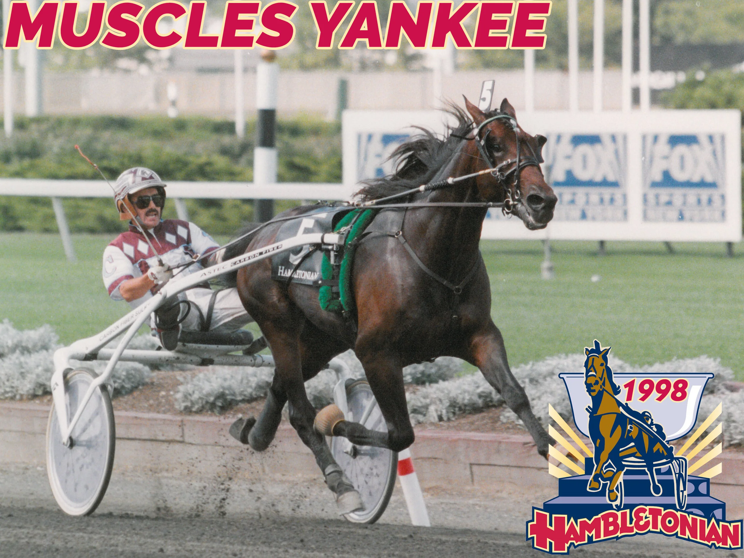 Muscles Yankee - 1998