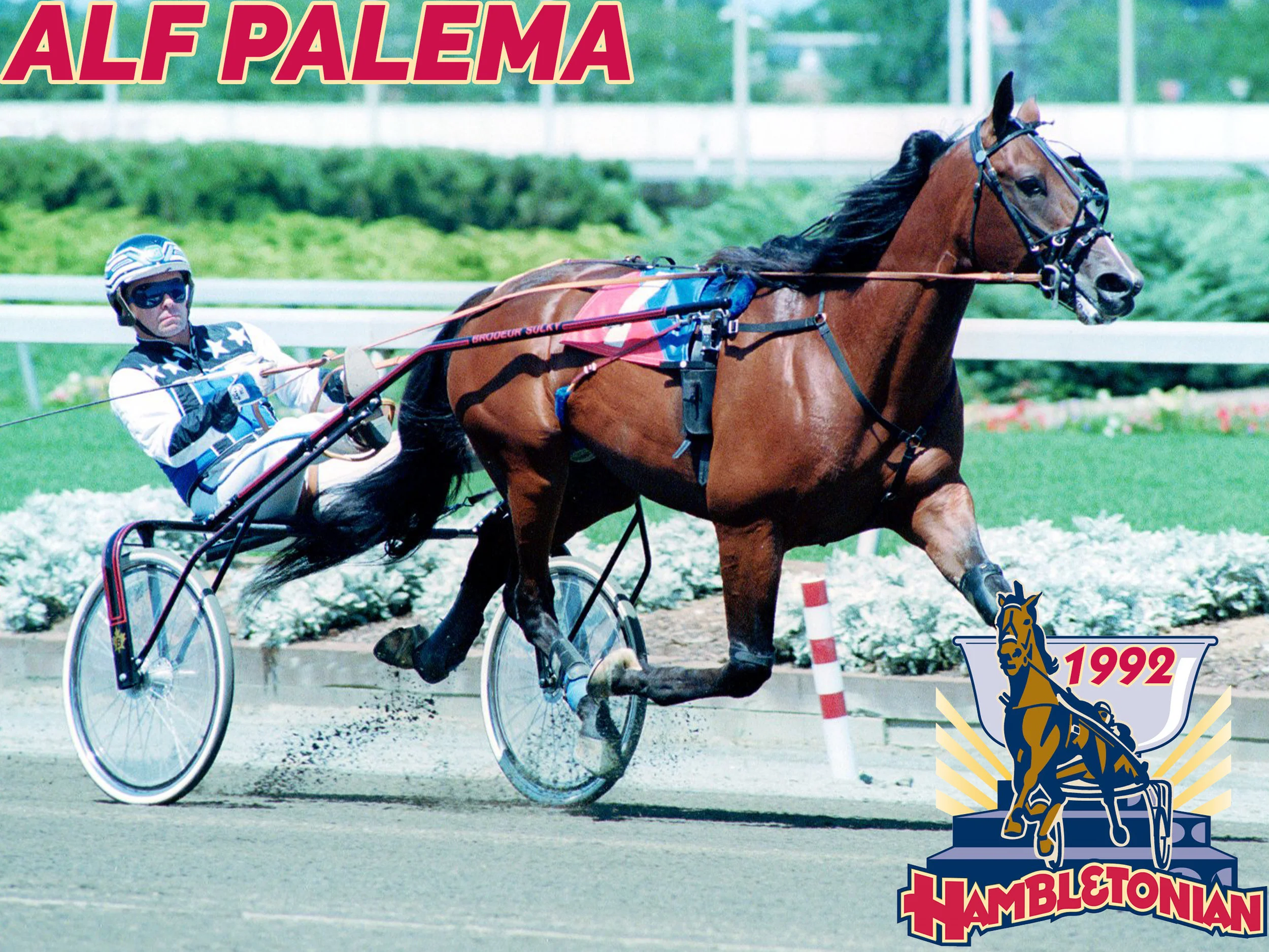 Alf Palema - 1992