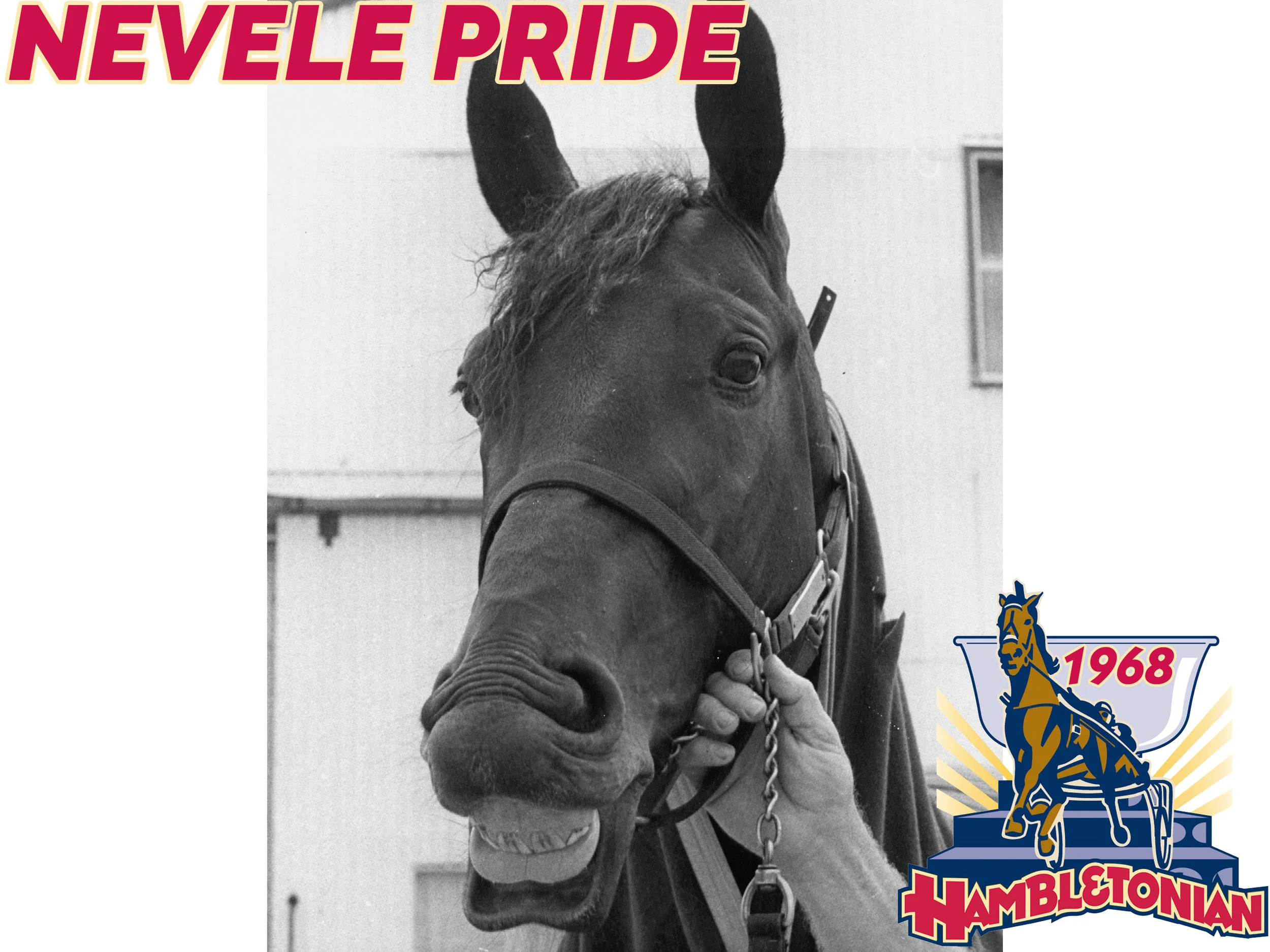 Nevele Pride - 1968