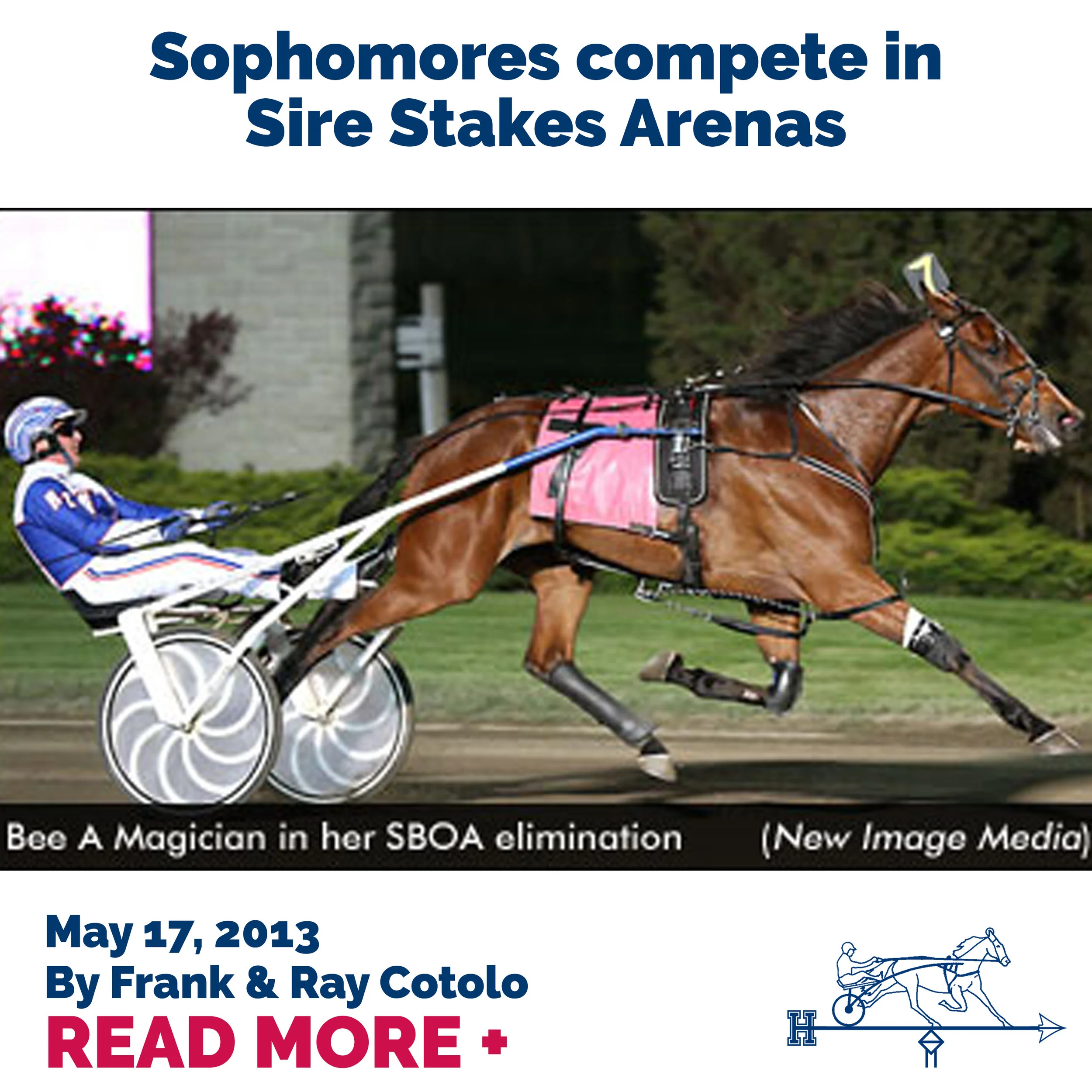Sophomores compete in Sire Stakes Arenas