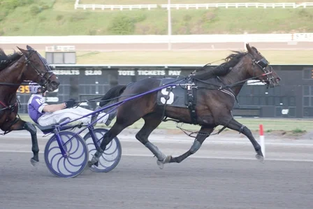 Drink The Wine (Chris Gooden photo)