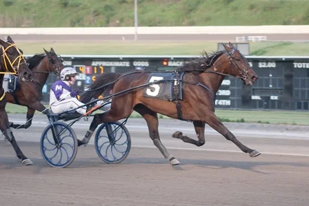 Mistery Woman (Chris Gooden photo)