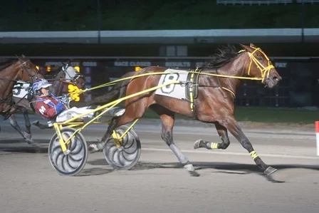 Curtsy Hanover (Chris Gooden photo)