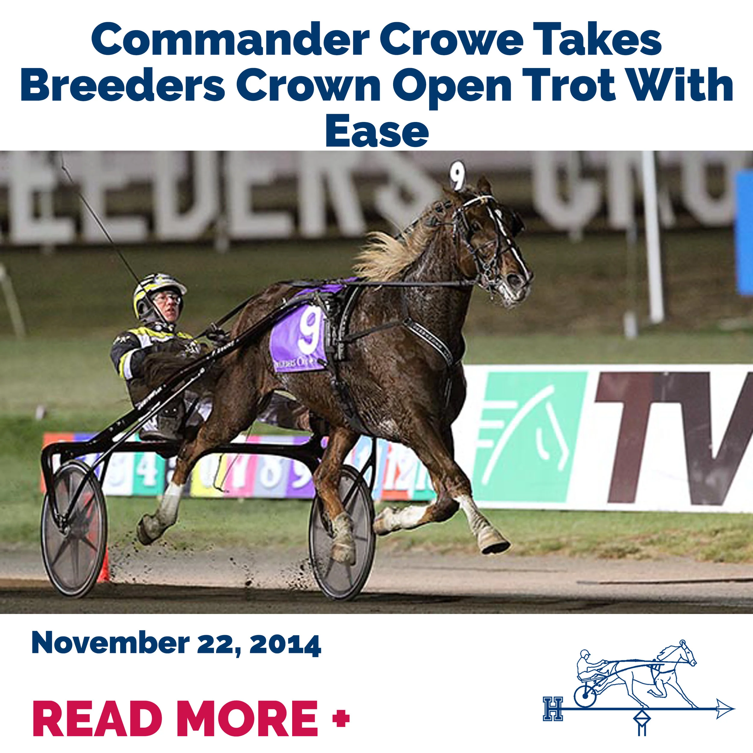 Commander Crowe Takes Breeders Crown Open Trot With Ease
