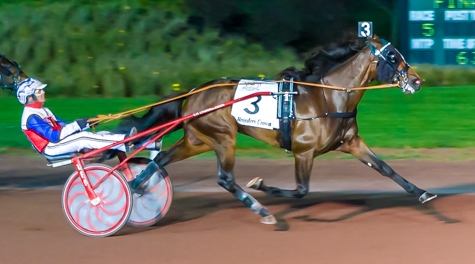 Shake It Cerry &amp; Ron Pierce