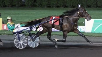 Long Tom &amp; Tim Tetrick