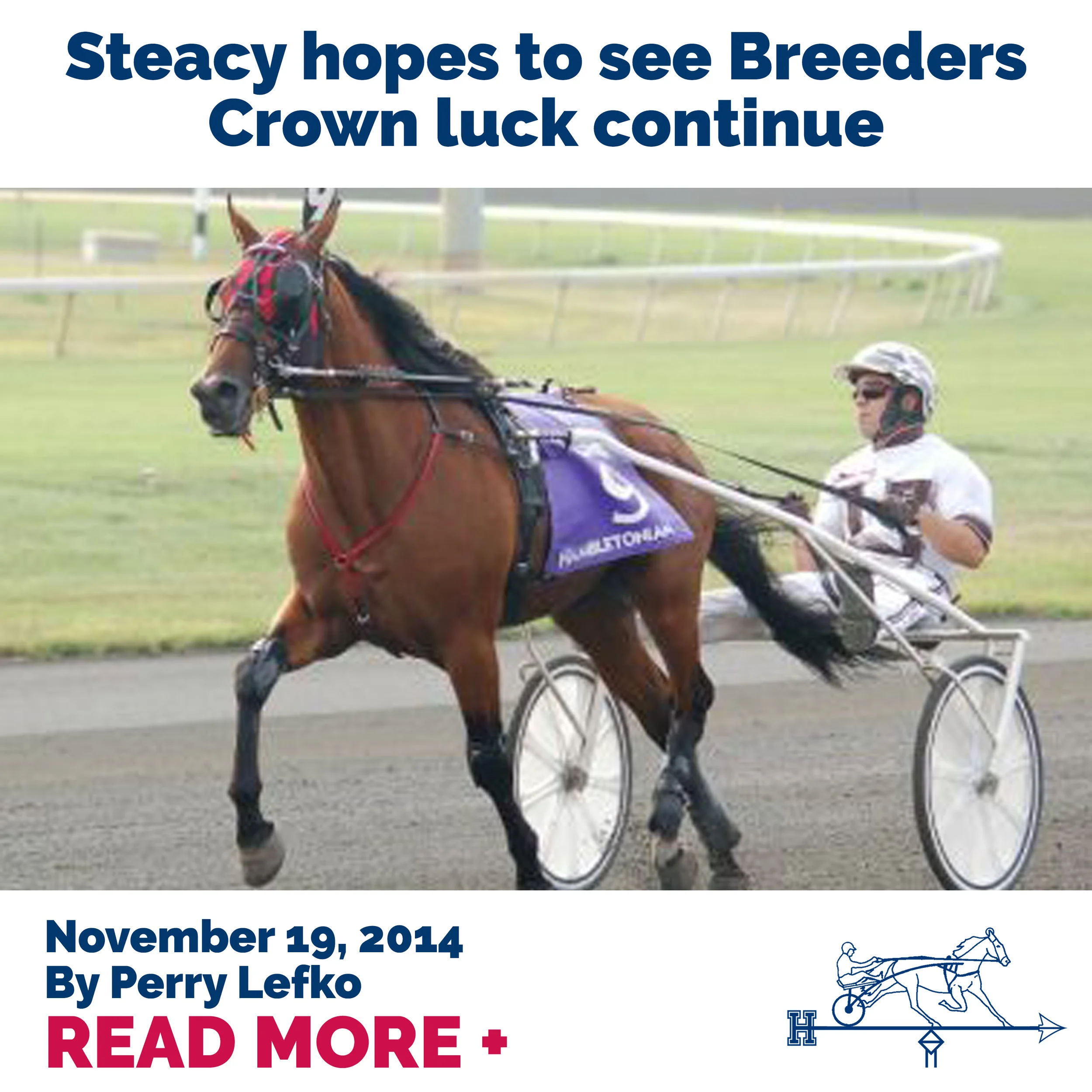  Steacy hopes to see Breeders Crown luck continue 