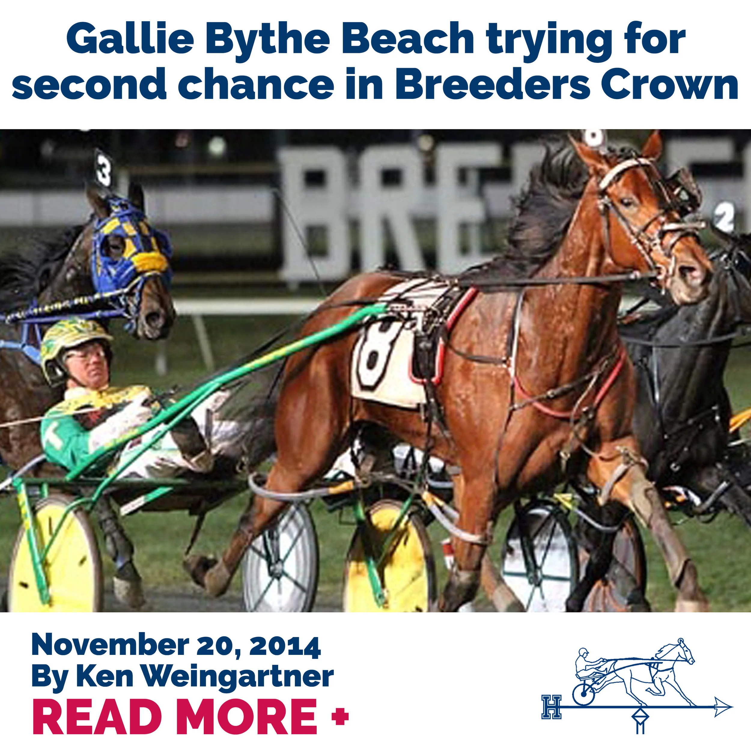 Gallie Bythe Beach trying for second chance in Breeders Crown 