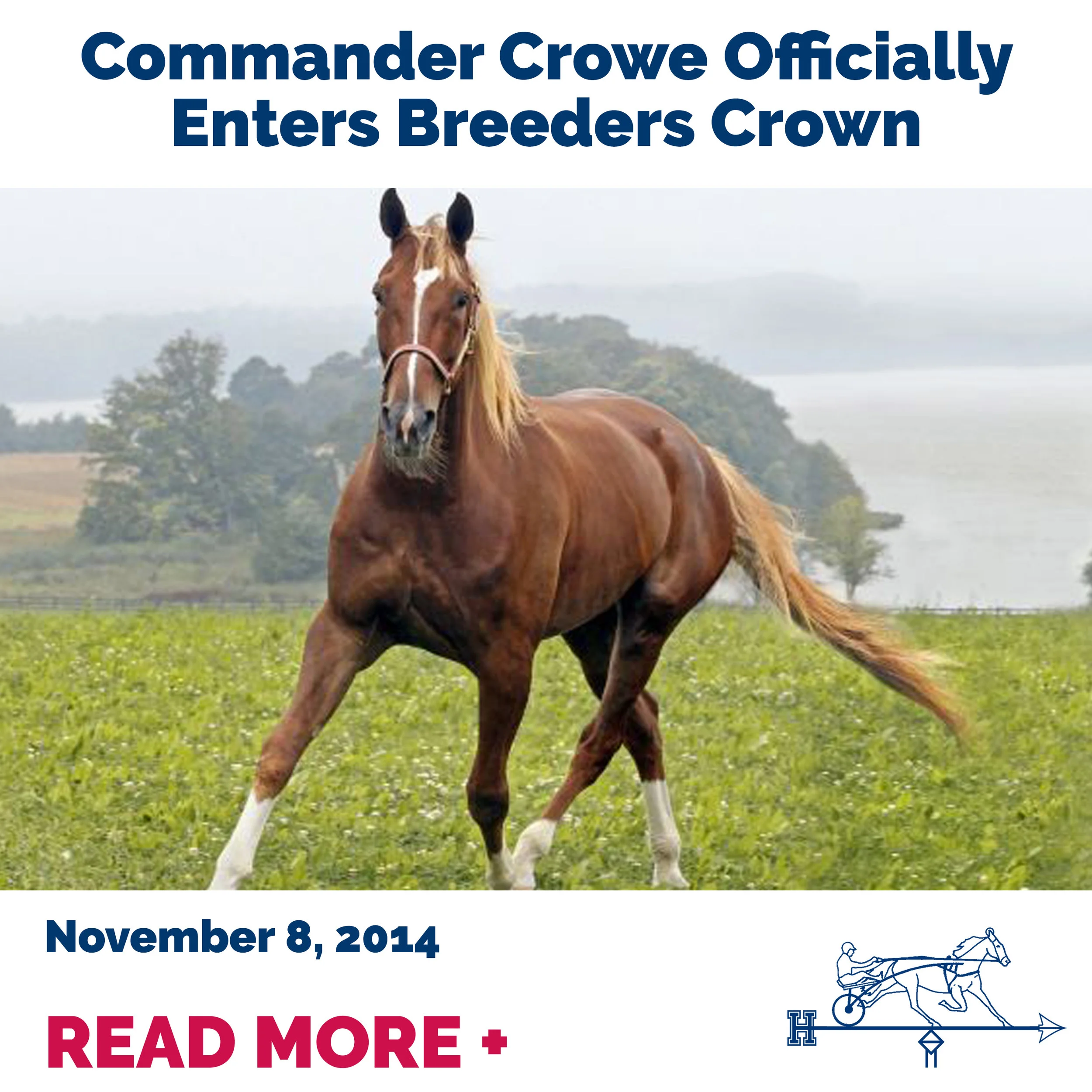  Commander Crowe Officially Enters Breeders Crown