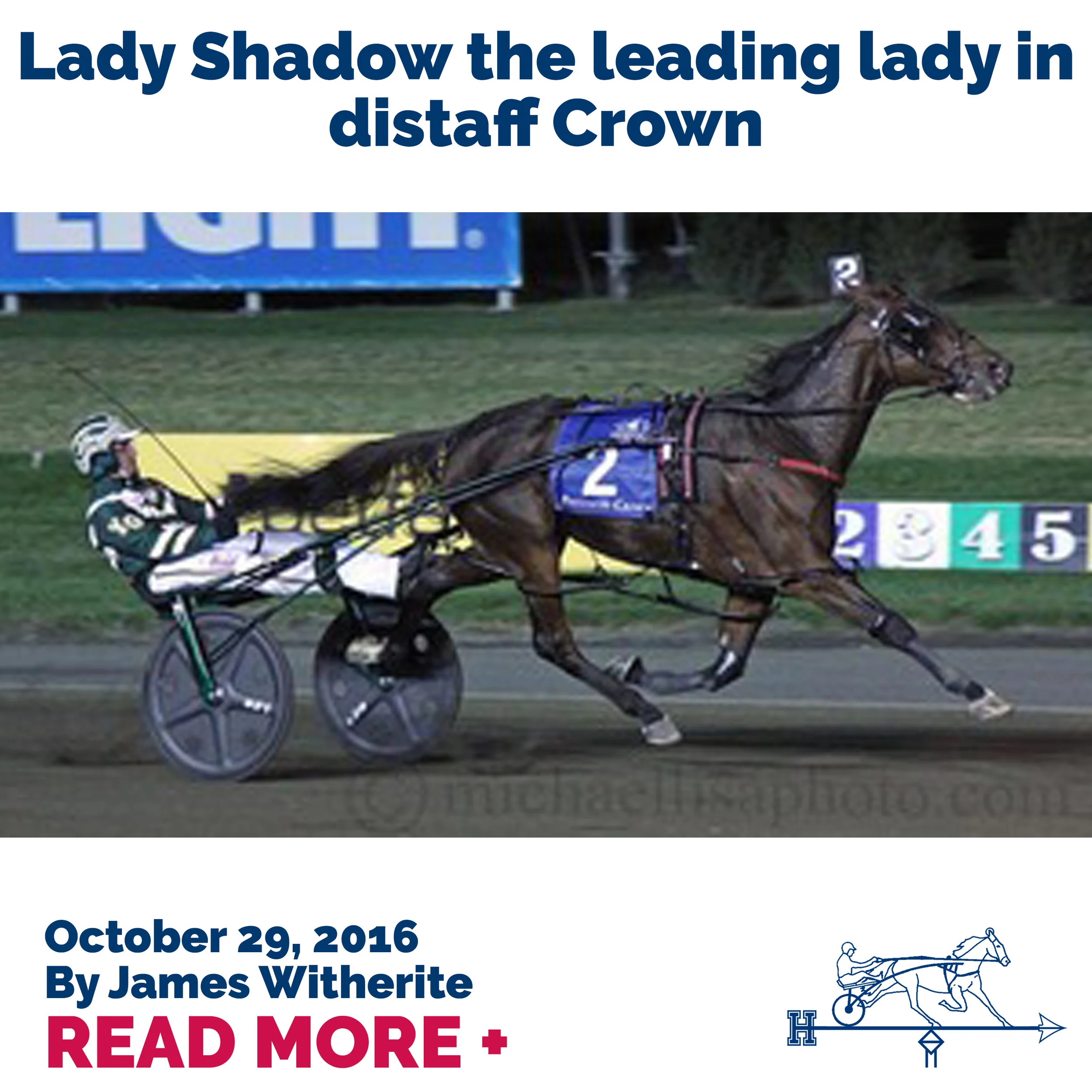  Lady Shadow the leading lady in distaff Crown