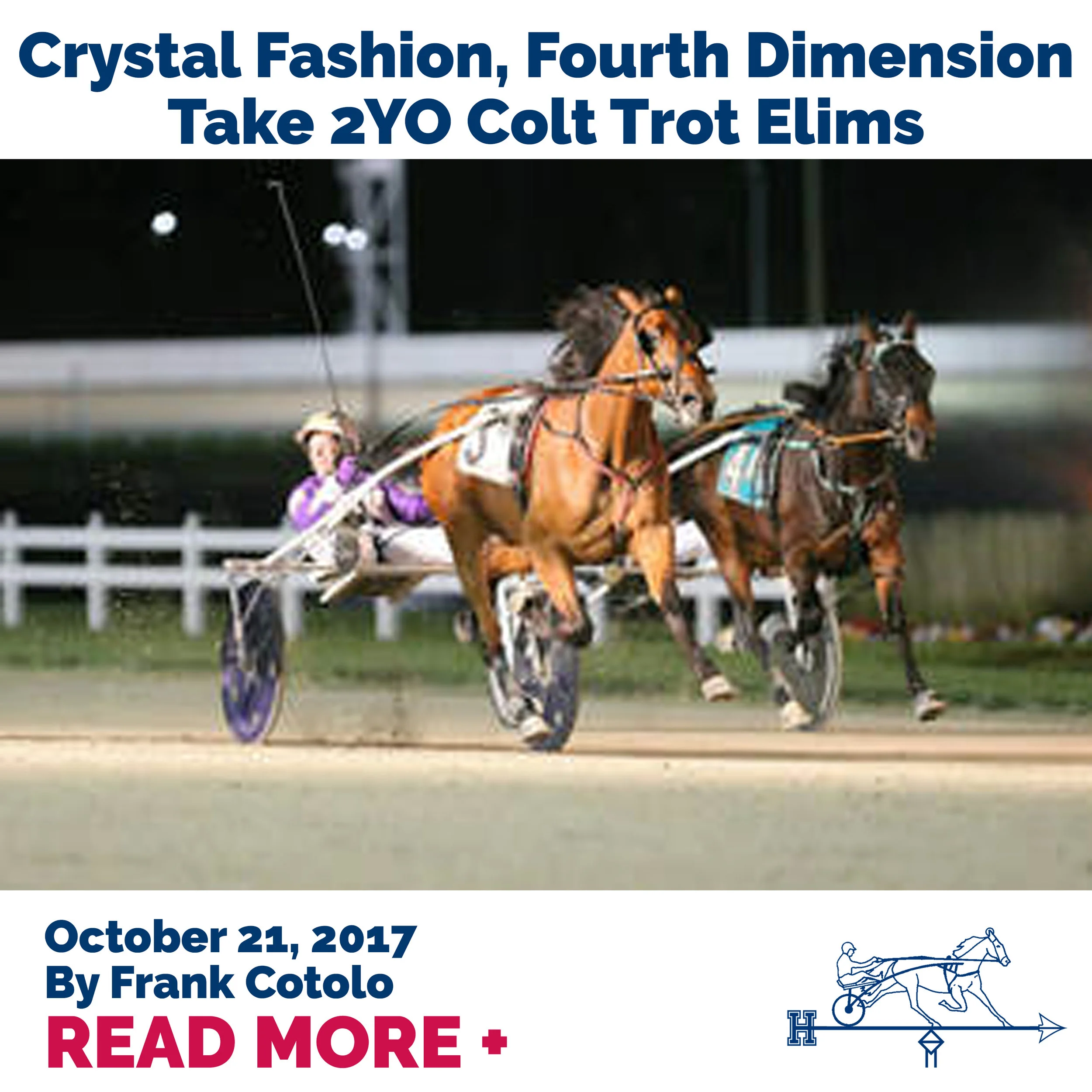 Crystal Fashion, Fourth Dimension Take 2YO Colt Trot Elims