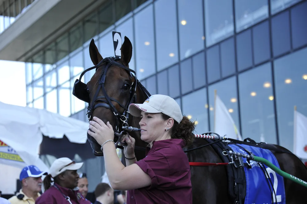 R12 Market Share 05.JPG