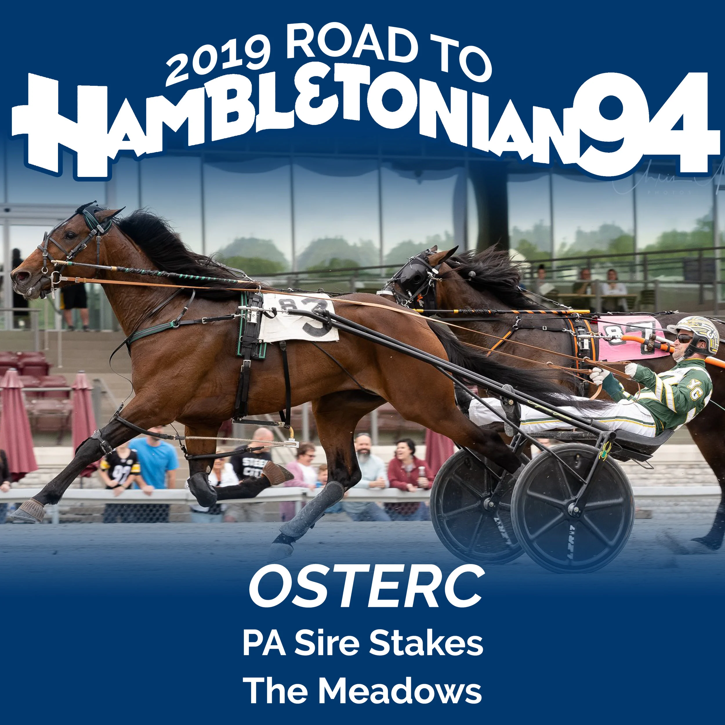 Meadows 3-year-old PASS trotting colts take center stage