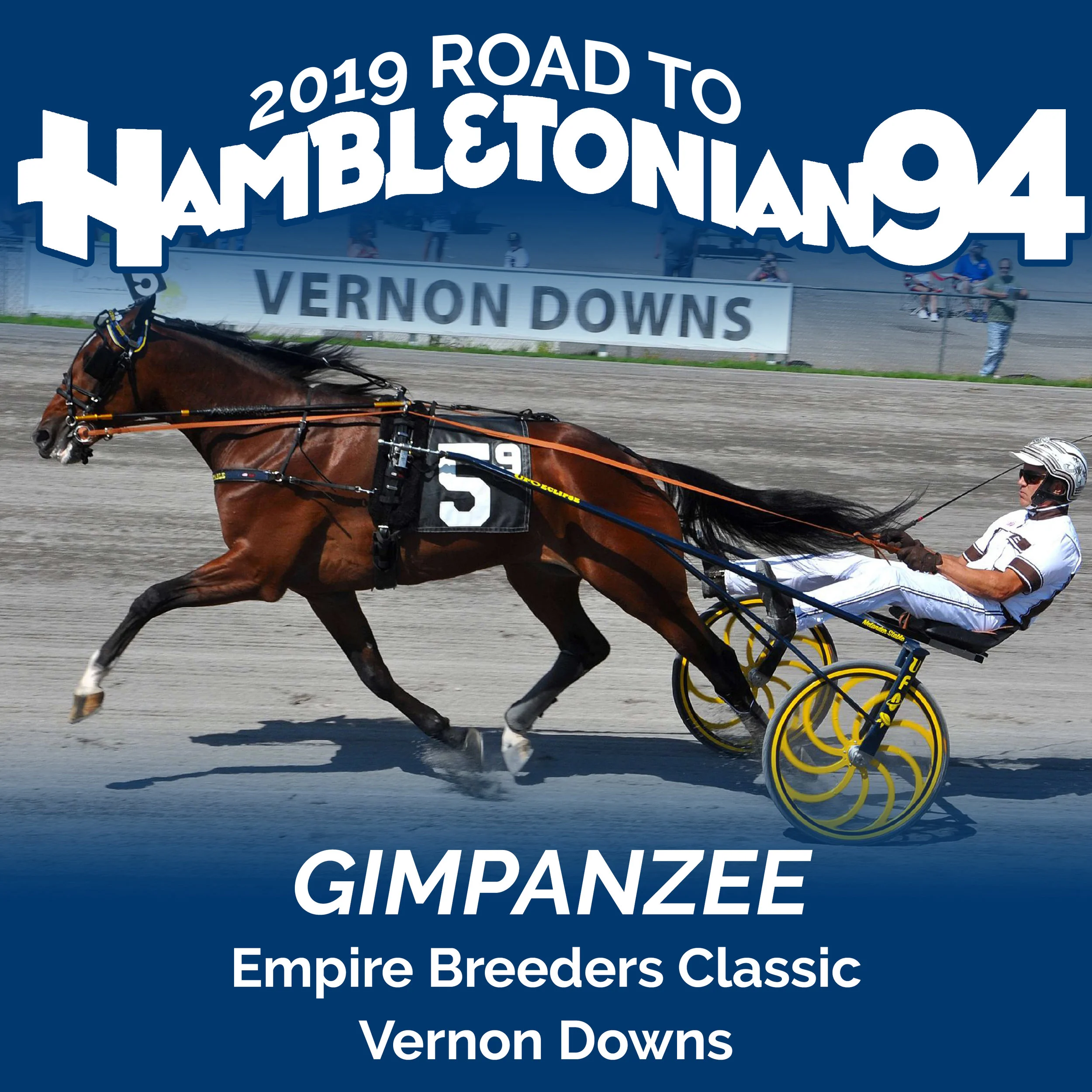 Gimpanzee stays perfect with win at Vernon Downs.