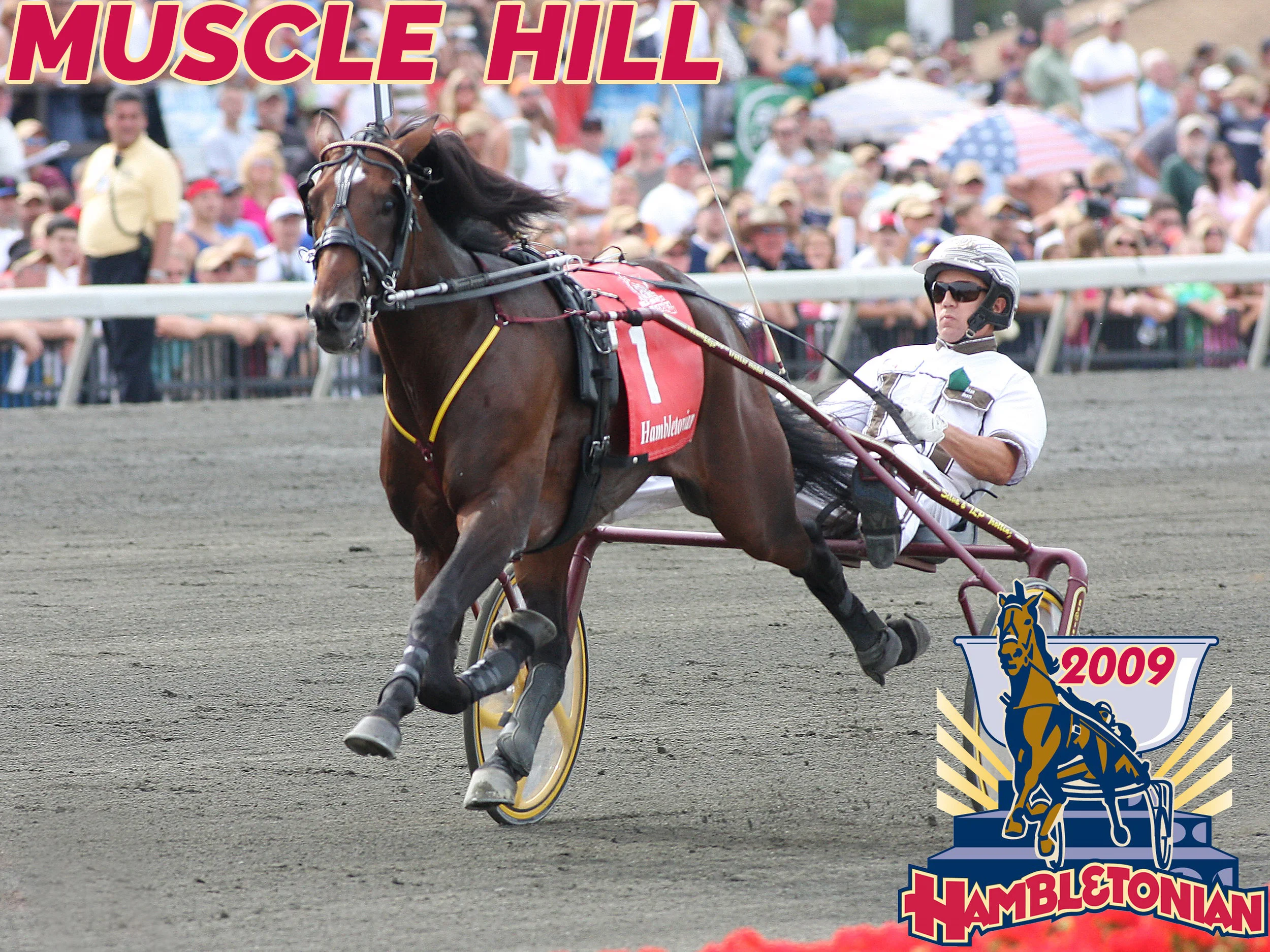 Muscle Hill - 2009
