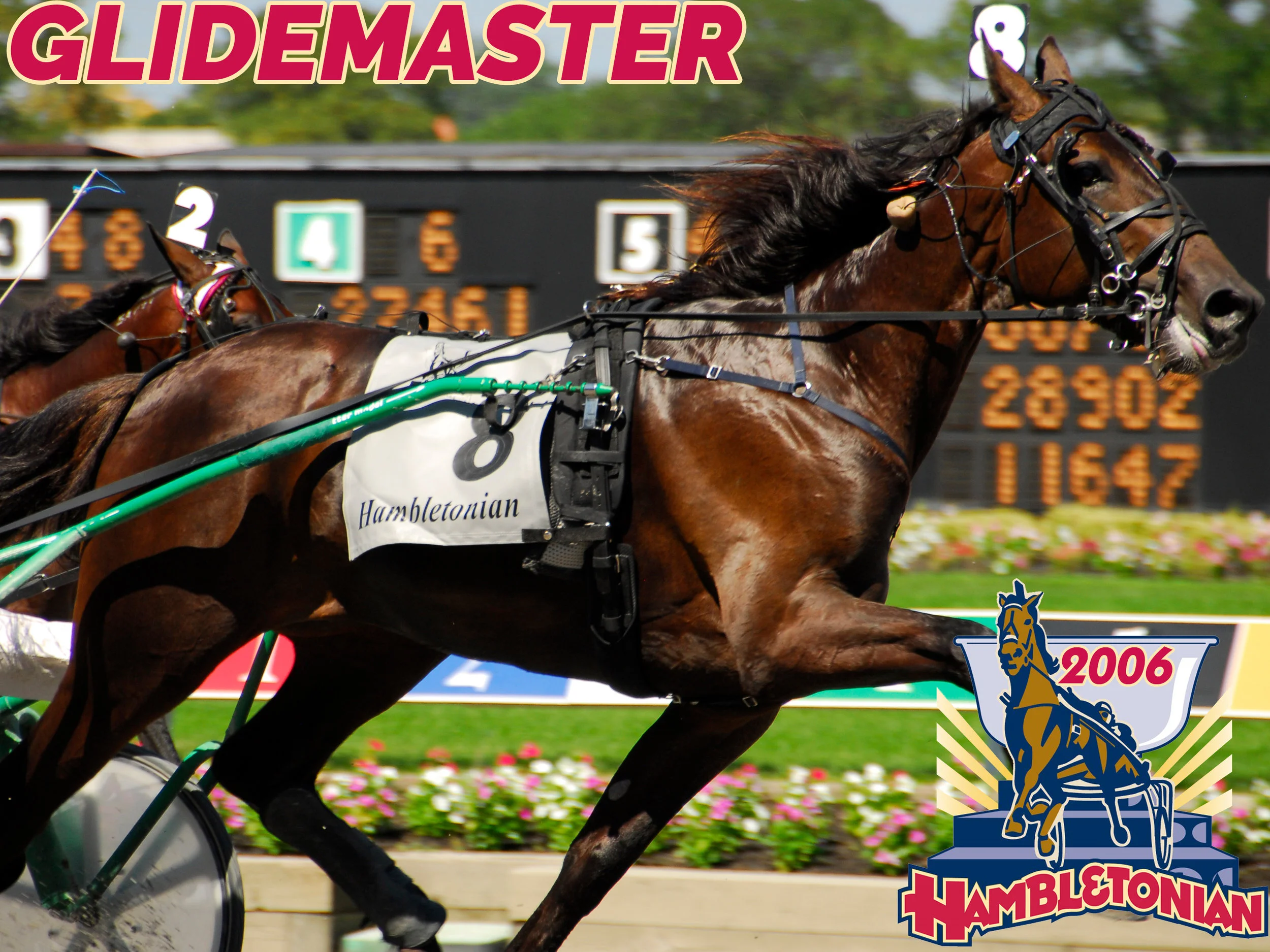 Glidemaster - 2006