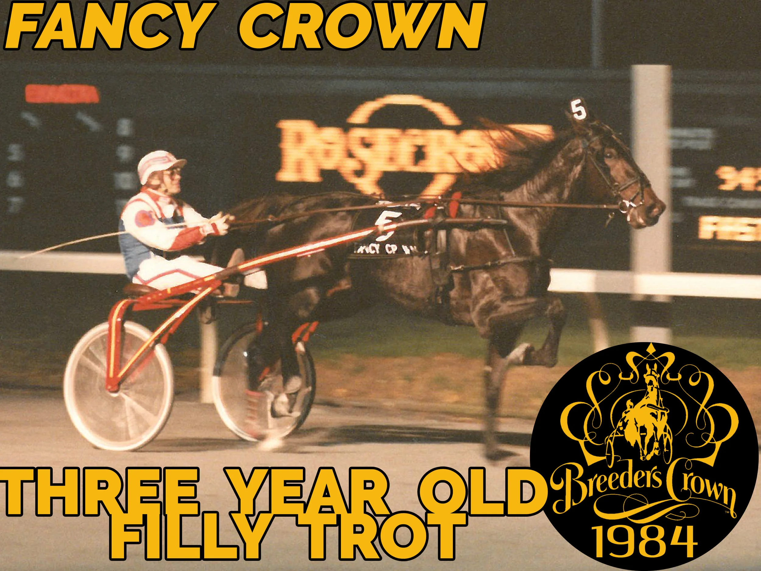 Fancy Crown - 3FT