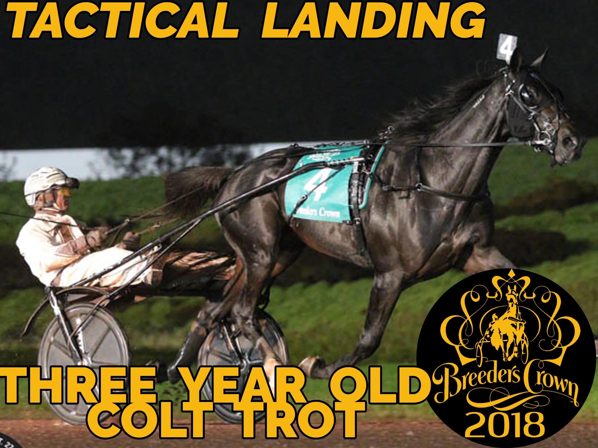 Tactical Landing - 3CT