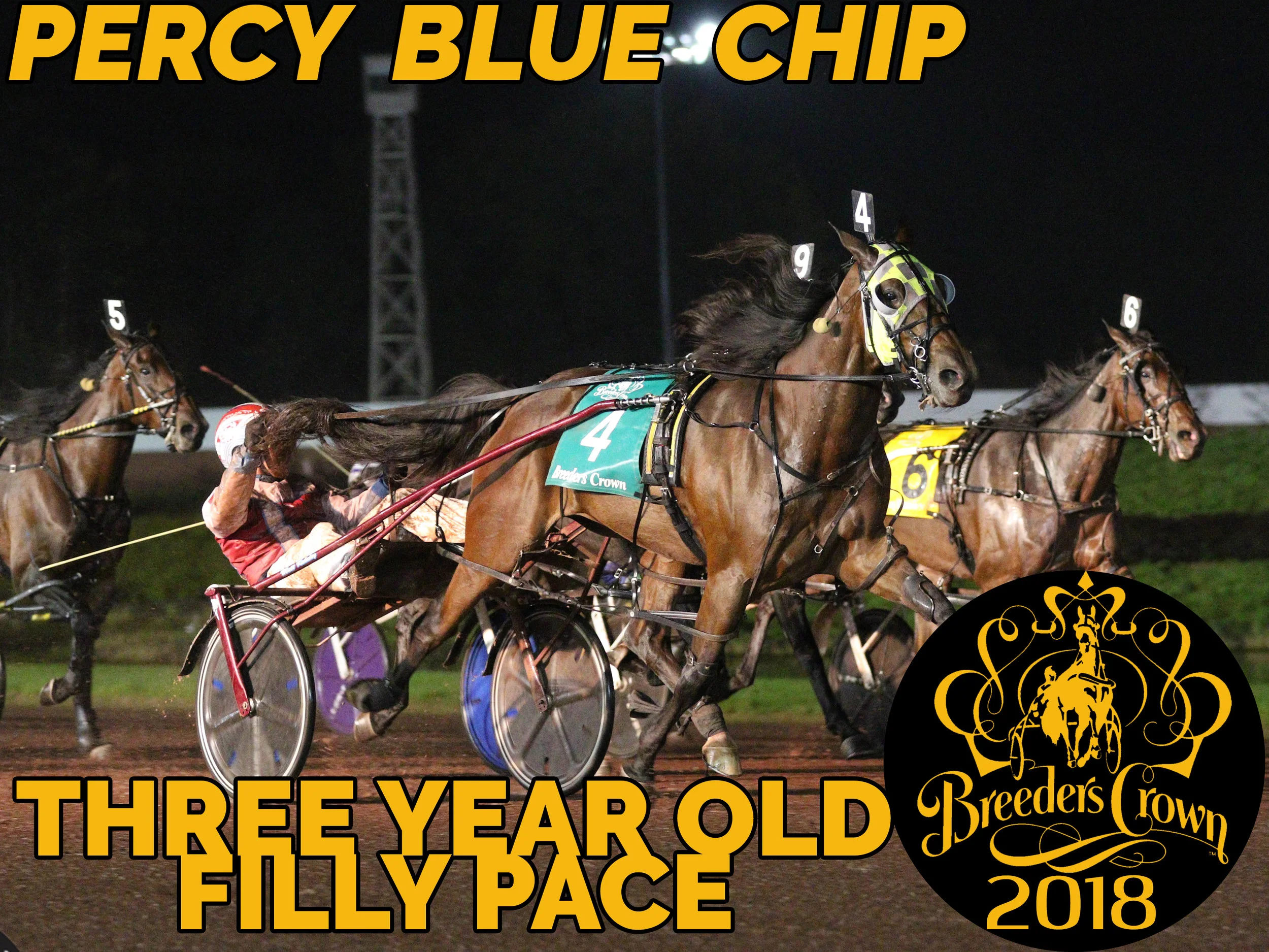 Percy Blue Chip - 3FP