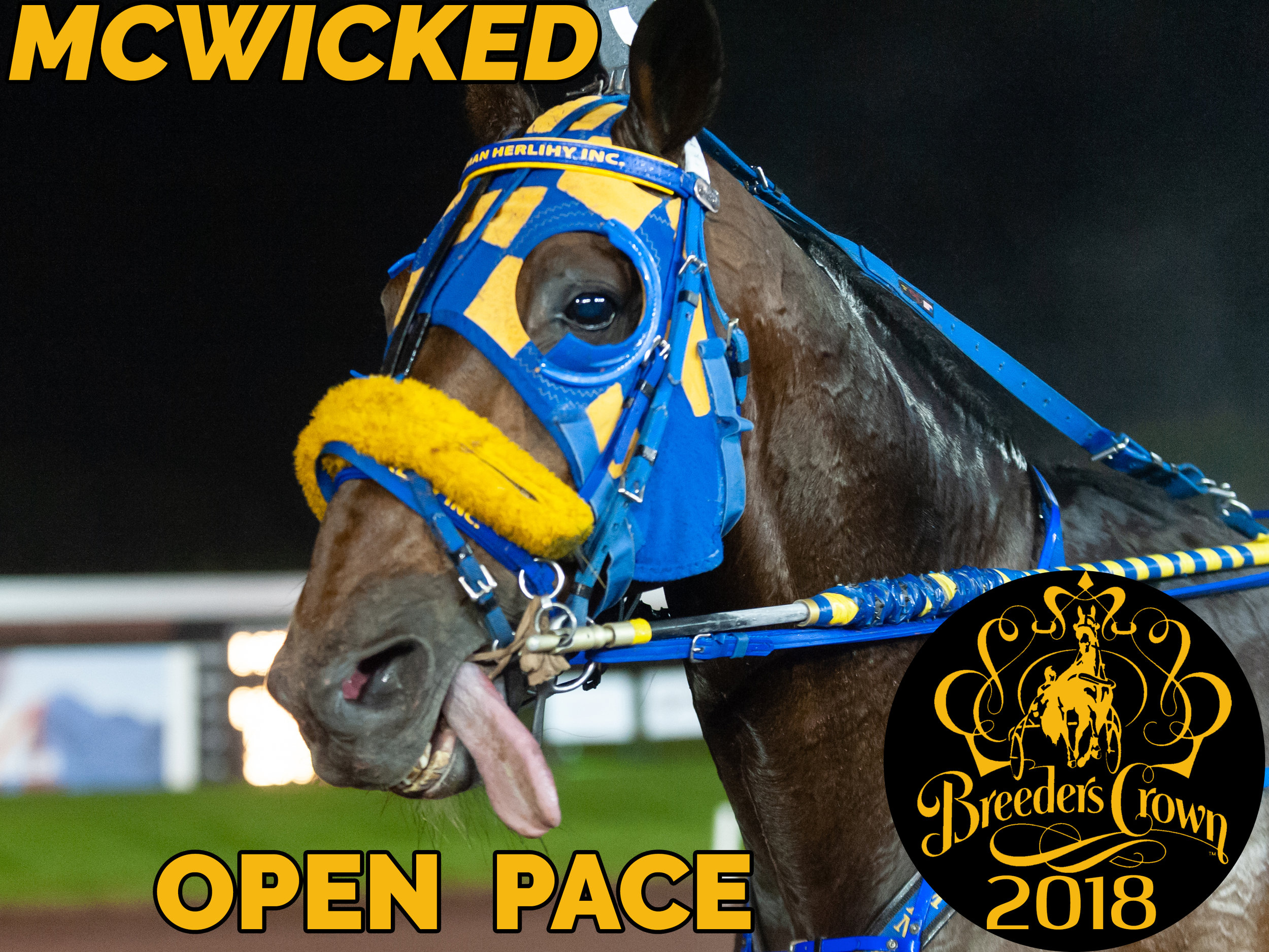 McWicked - Open Pace