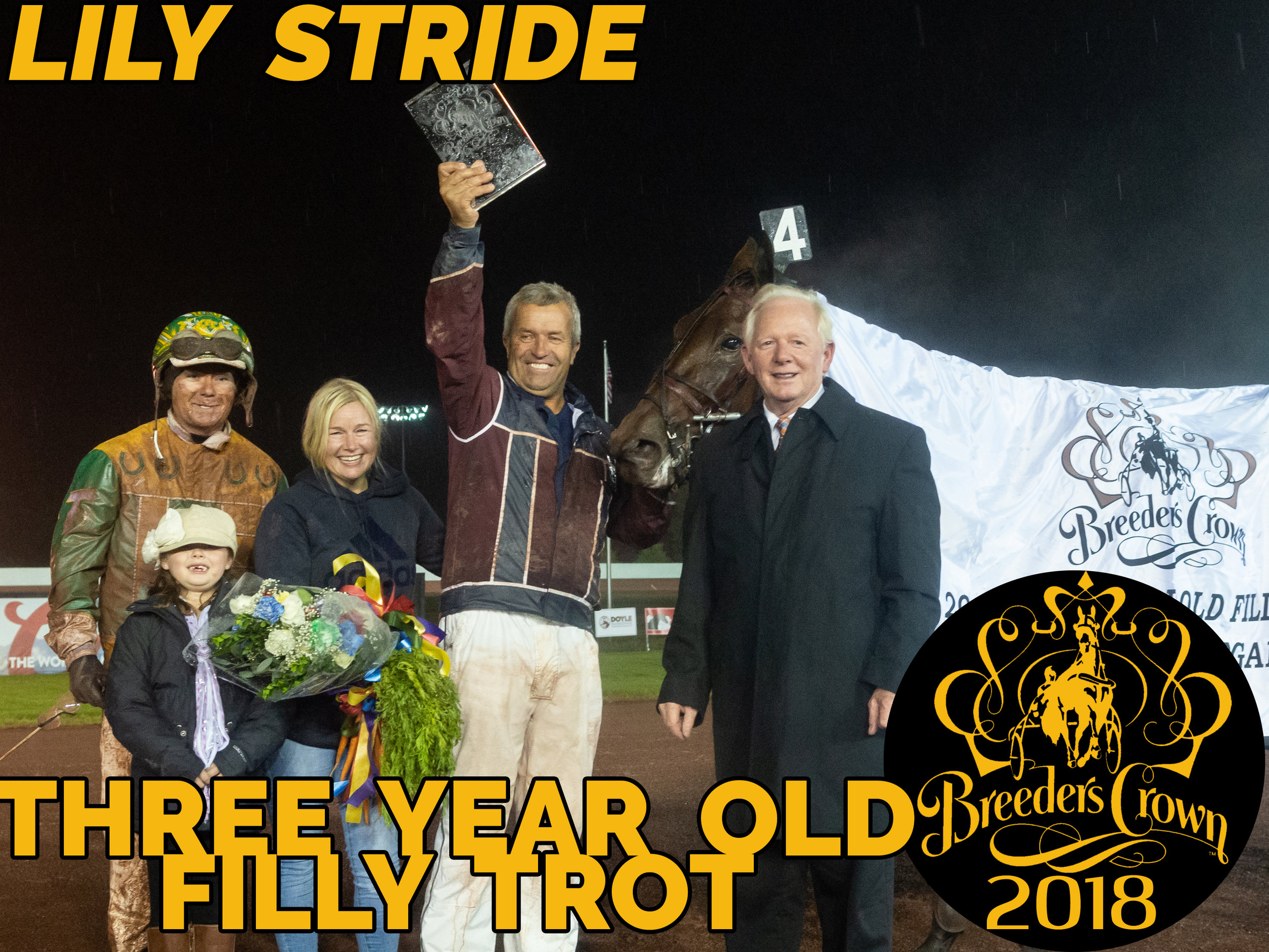 Lily Stride - 3FT